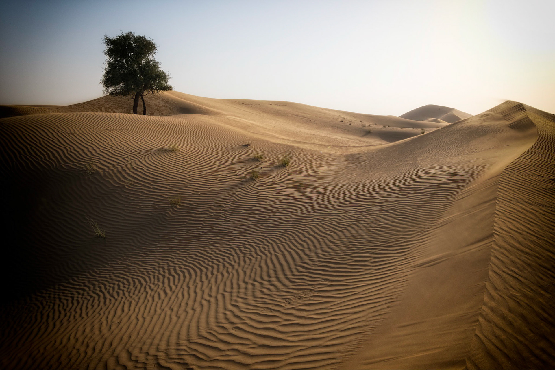 Sunset &amp; Sand Dunes - Al Faqa, Dubai, UAE