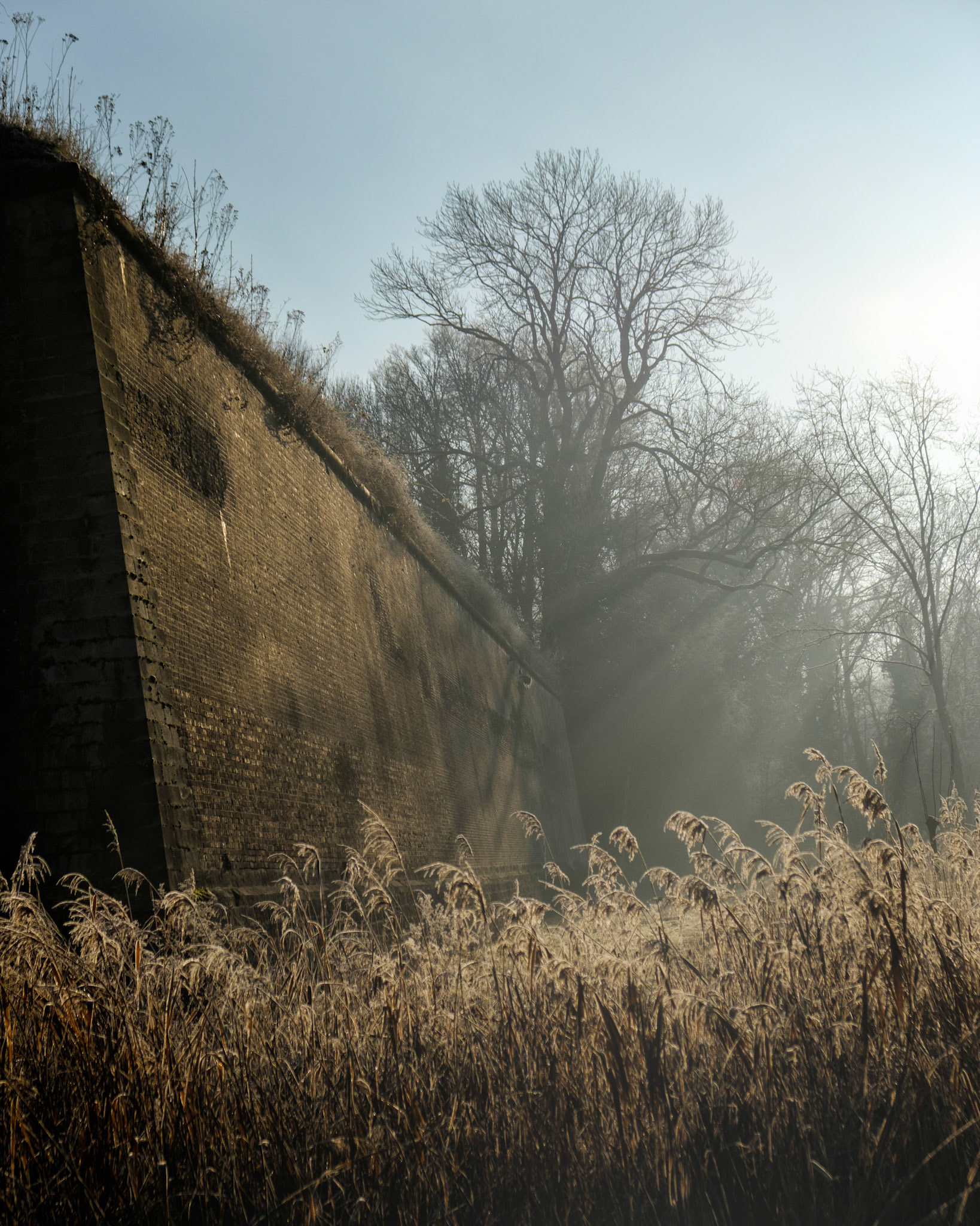Citadel Sunrise - Lille, France