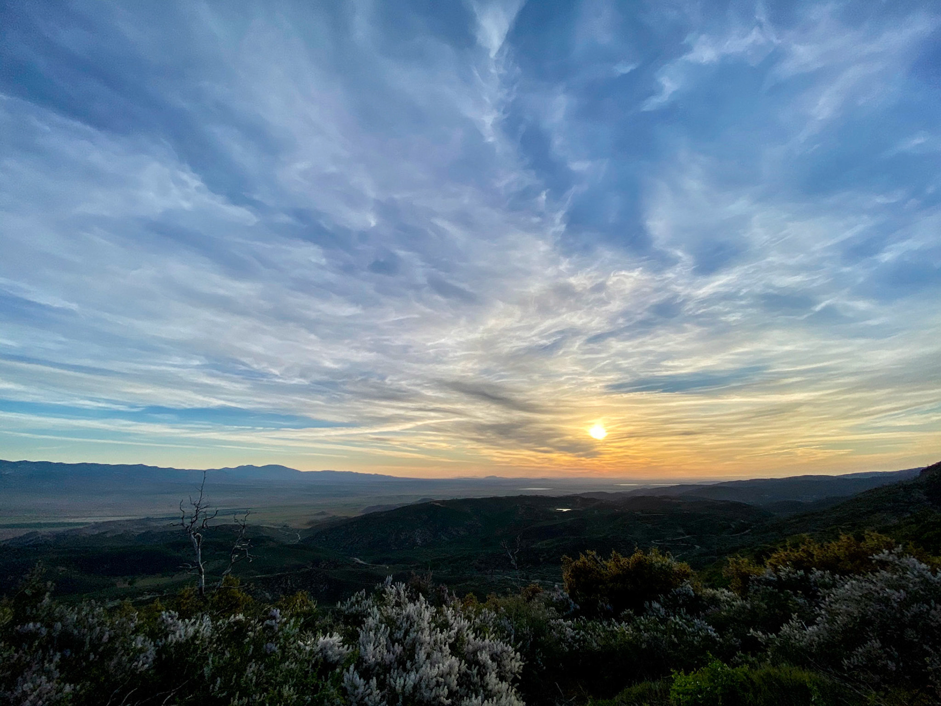 PCT: Angeles National Forest, Lake Hughes, CA