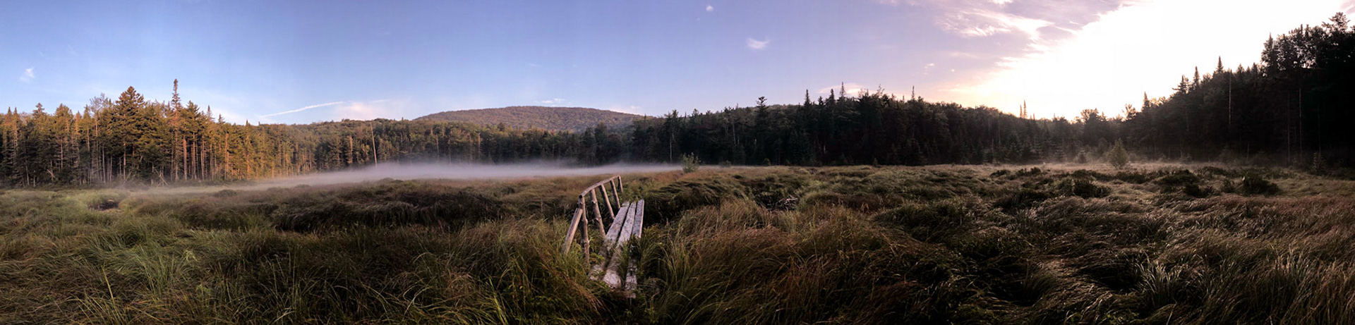 Meadow at Dawn - Northville Placid Trail, New York