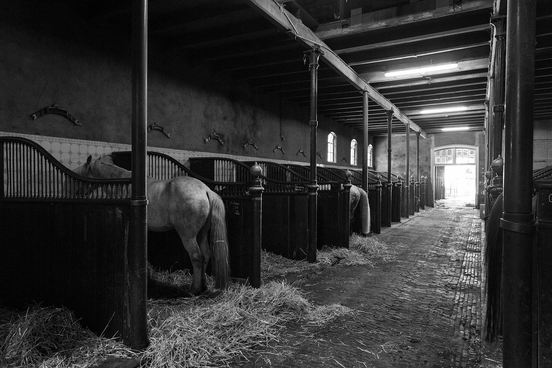 Hollandsche Manege Stable - Amsterdam, Netherlands