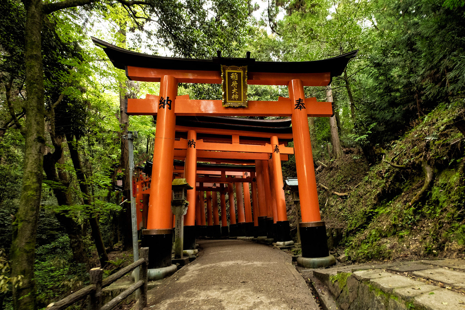 Fushimi Inari Taisha - Kyoto, Japan