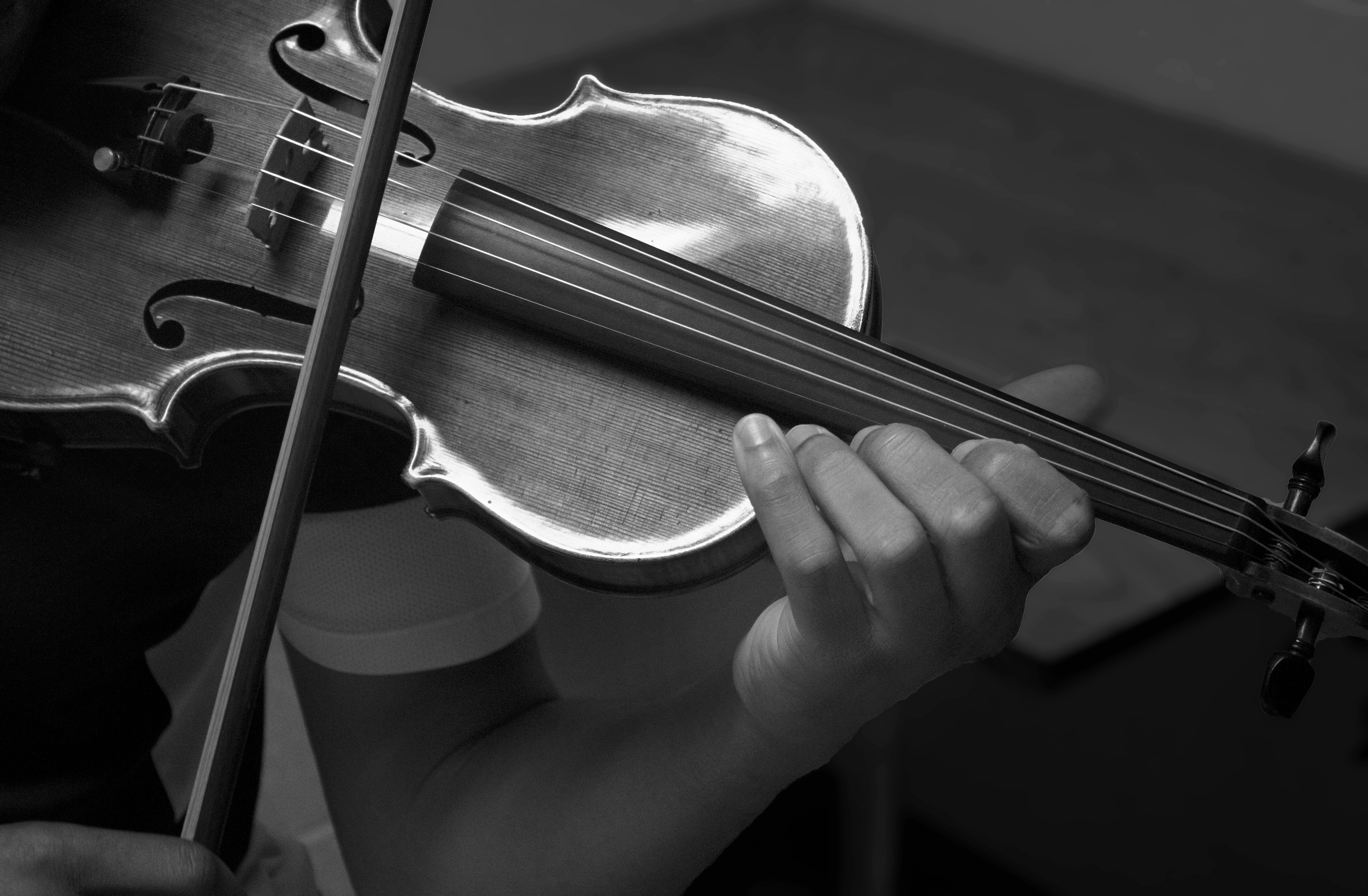 Keith Colon, Playing the Cello, Philadelphia, Summer 2018 (AP Photo/Courtney Mattson)
