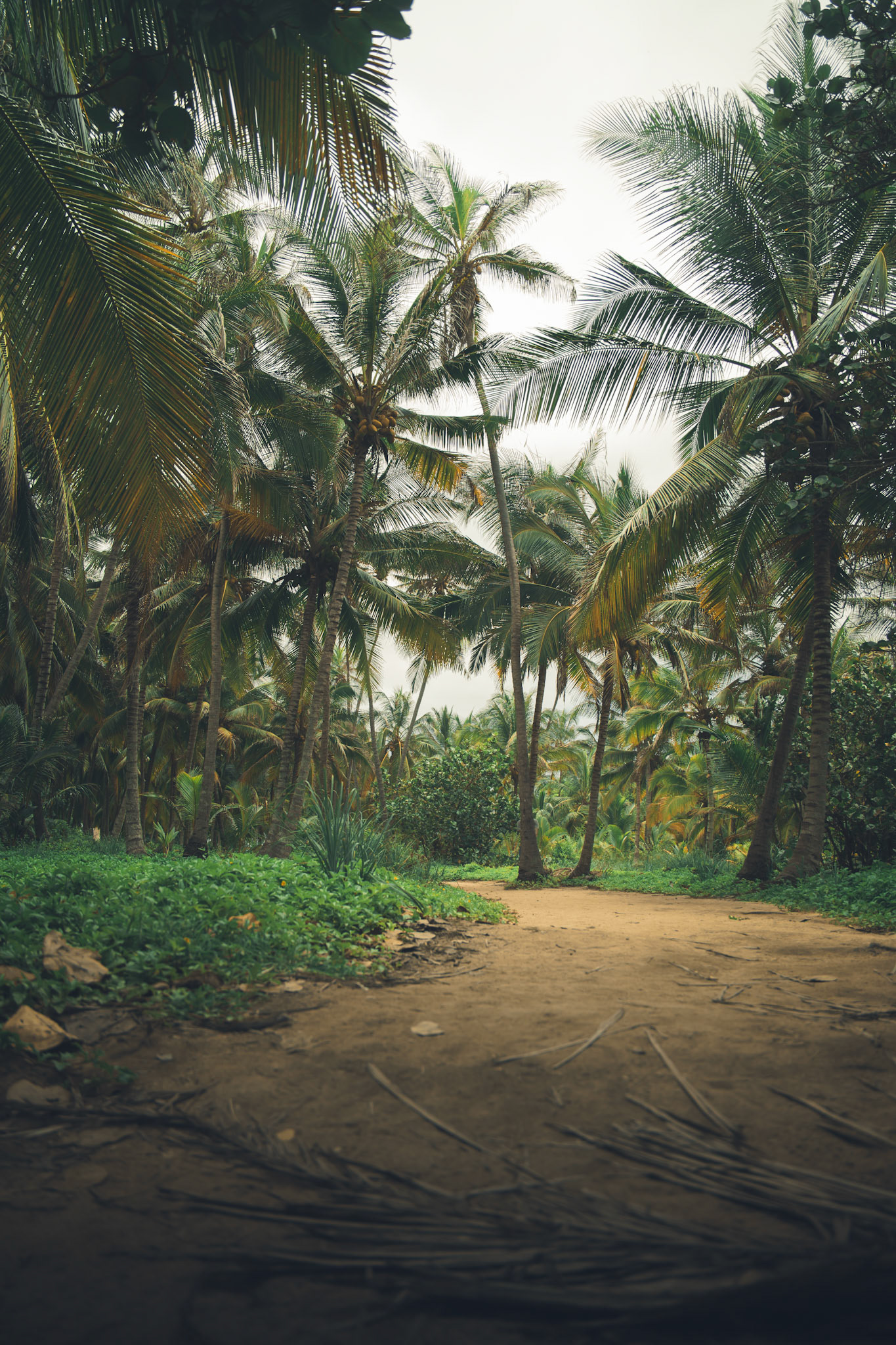 Tayronapark, Kolumbien