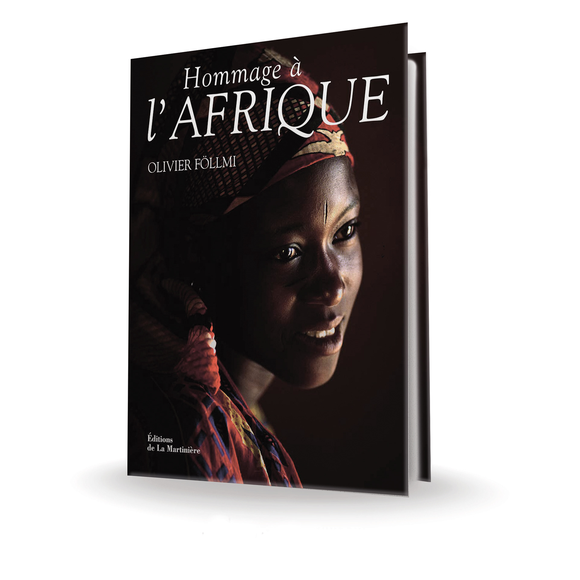 Réalisation de couverture dans l'esprit de la collection. Conception des pages avec du texte. 