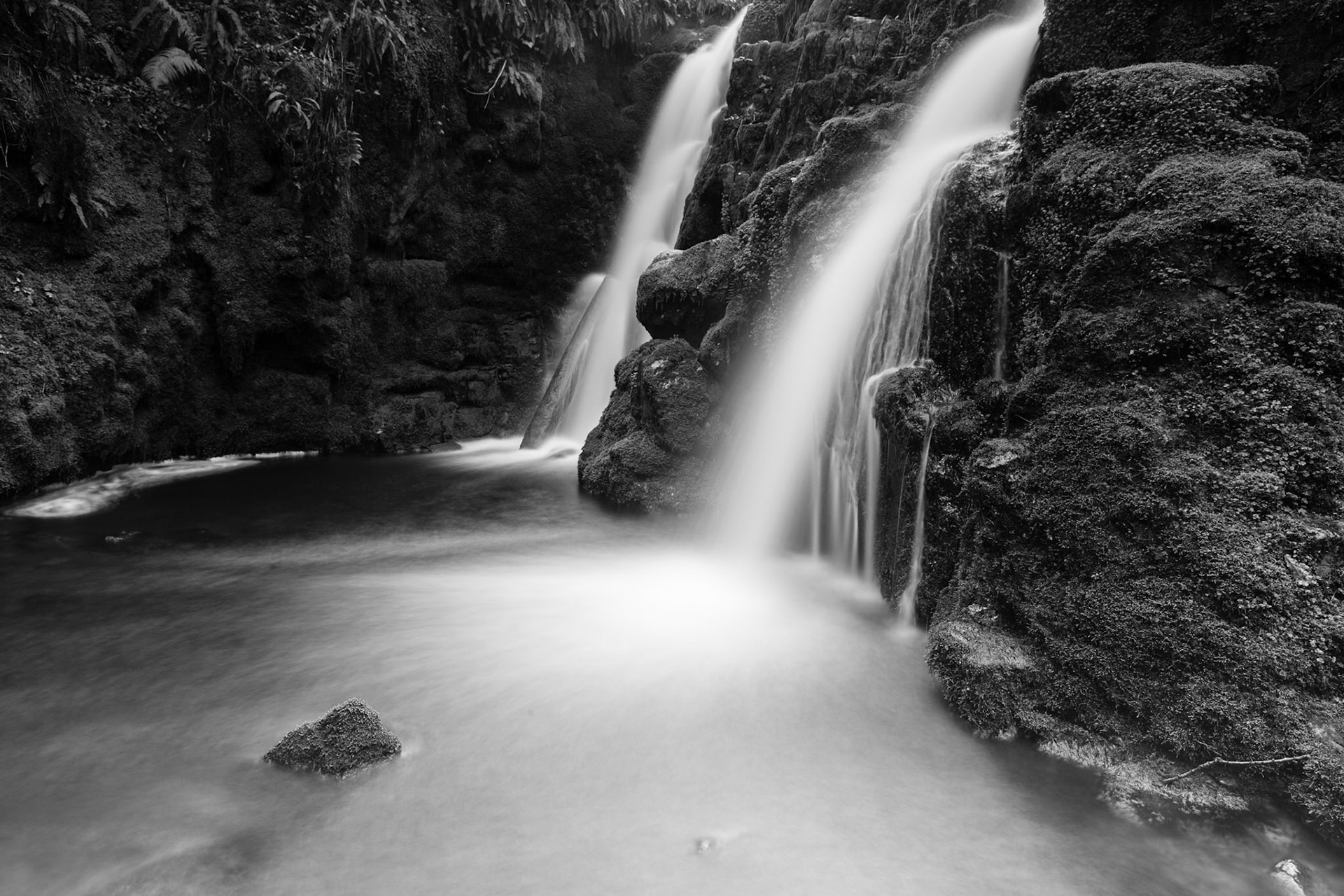 © 2017 Billy Hodgkins Photography All rights reserved.