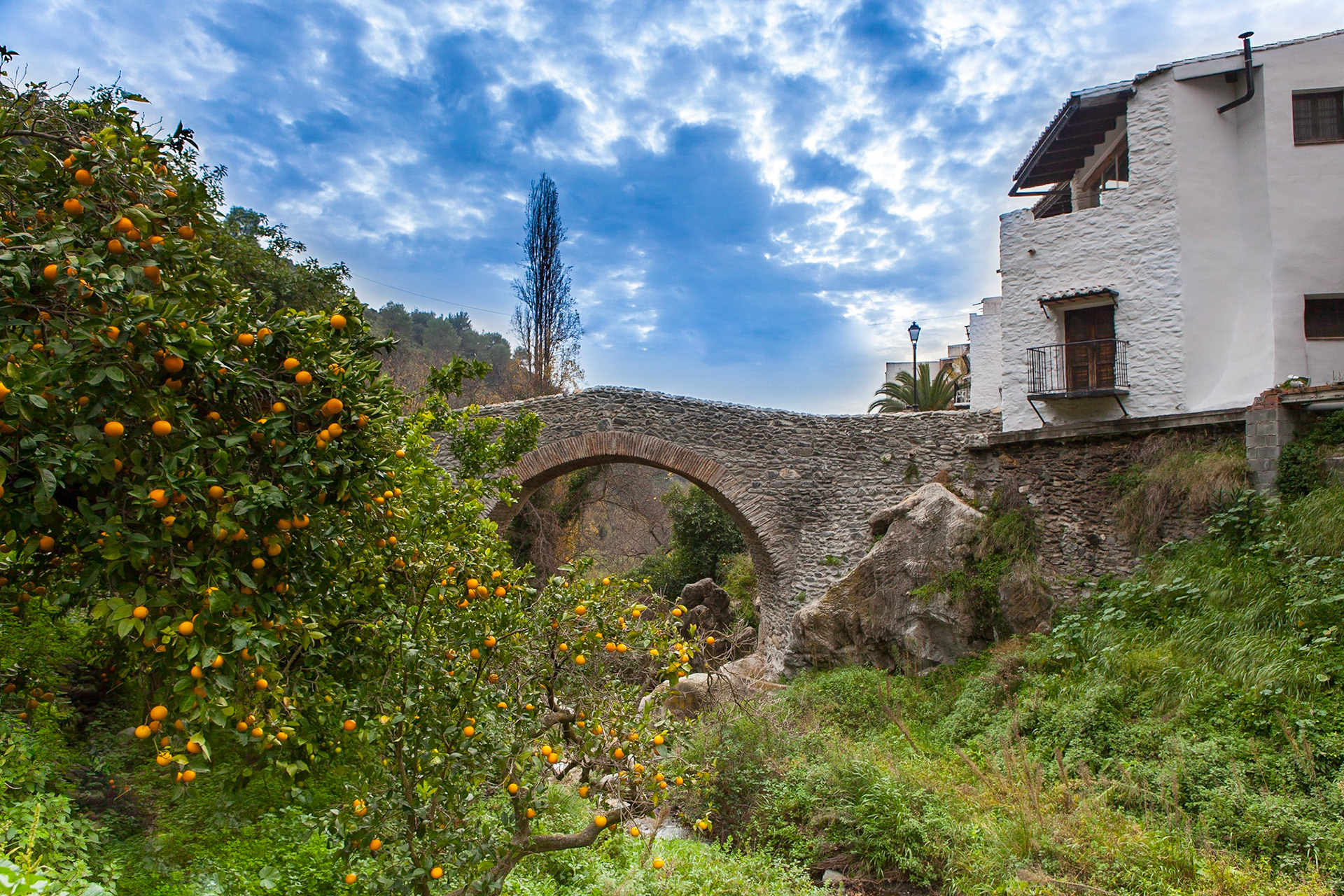 © 2015 Billy Hodgkins Photography All rights reserved.