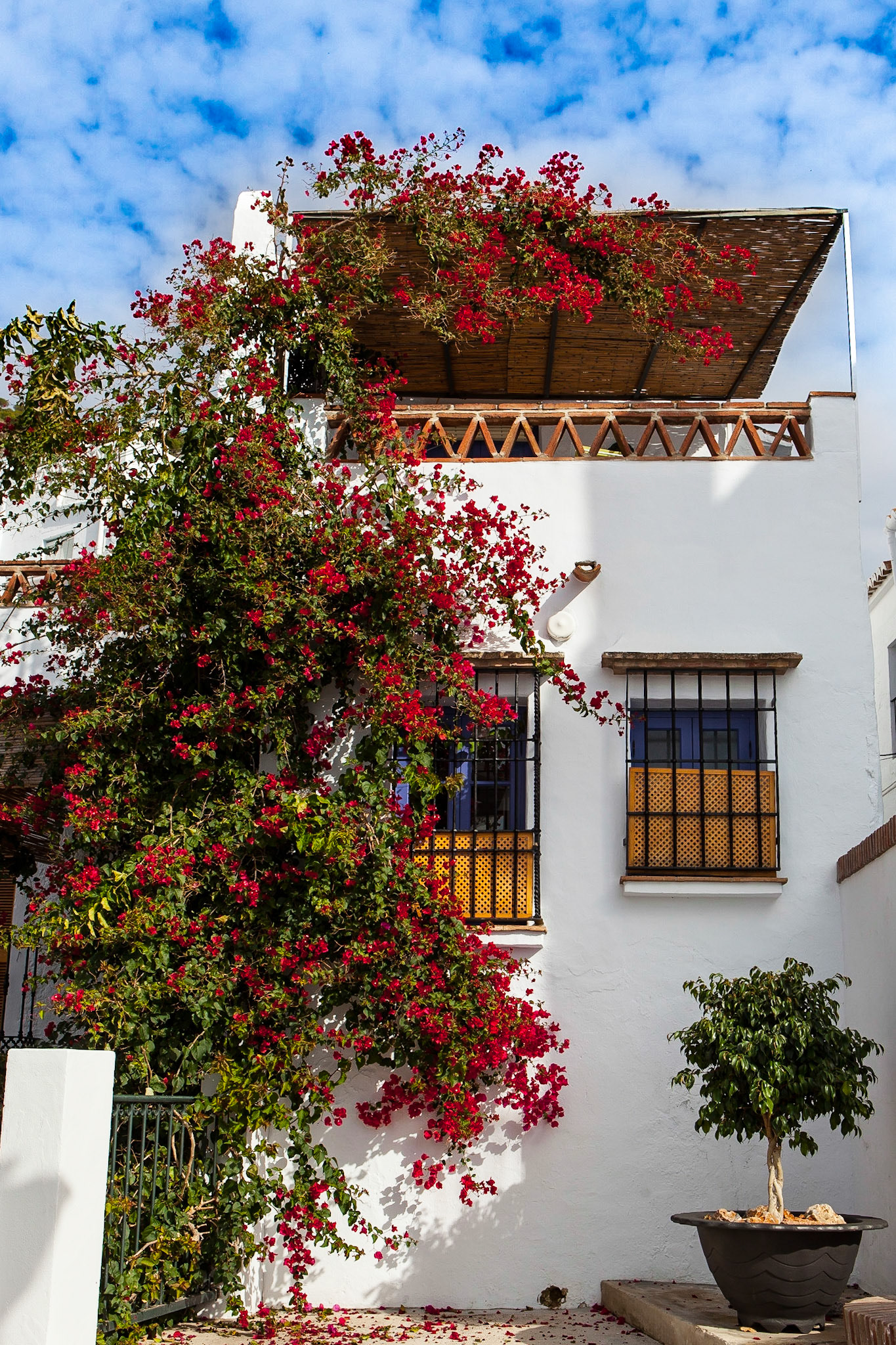 © 2015 Billy Hodgkins Photography All rights reserved.