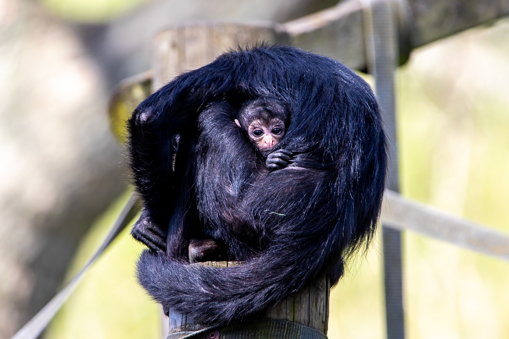 © 2021 Billy Hodgkins Photography All rights reserved.