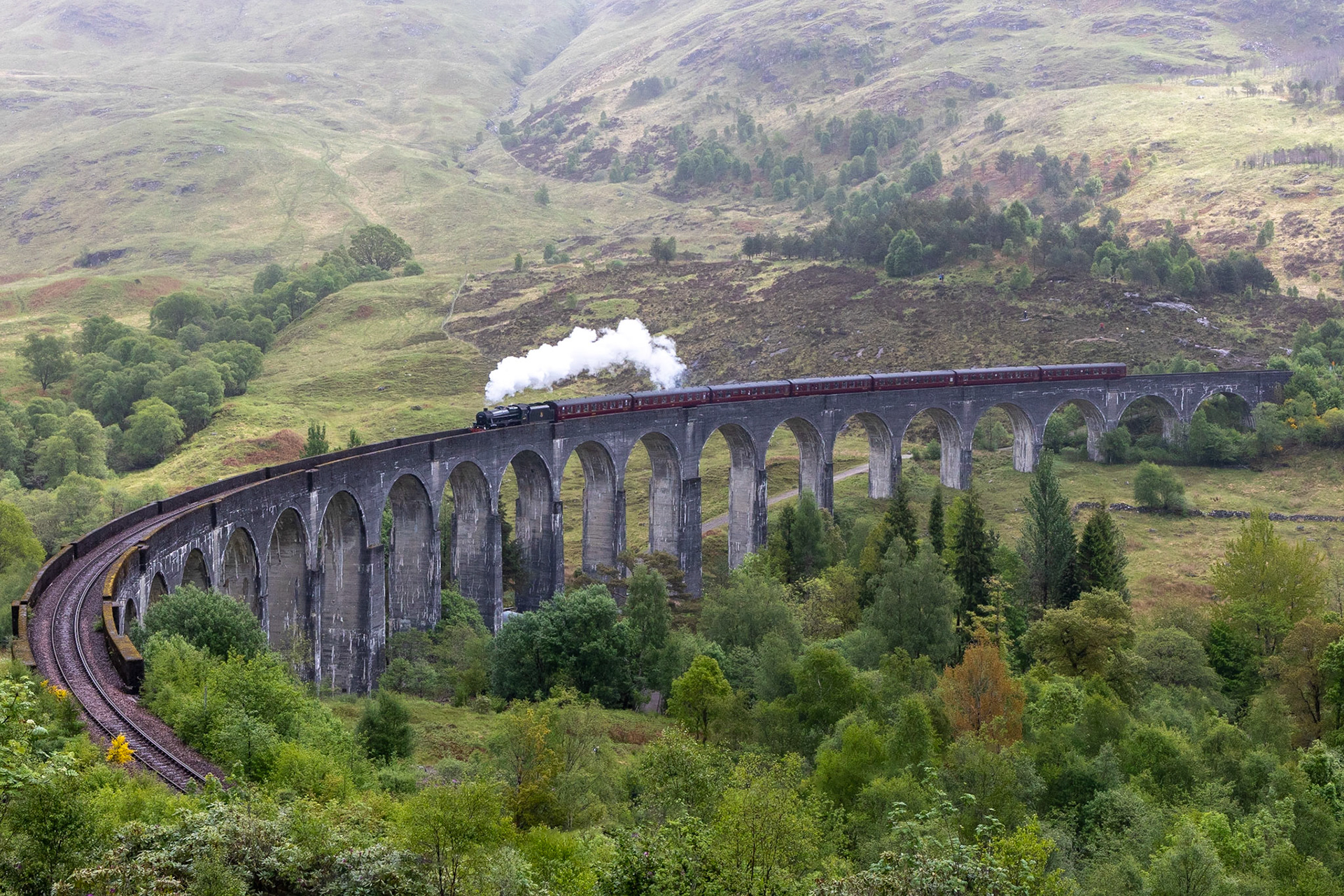 © 2023 Billy Hodgkins Photography All rights reserved.