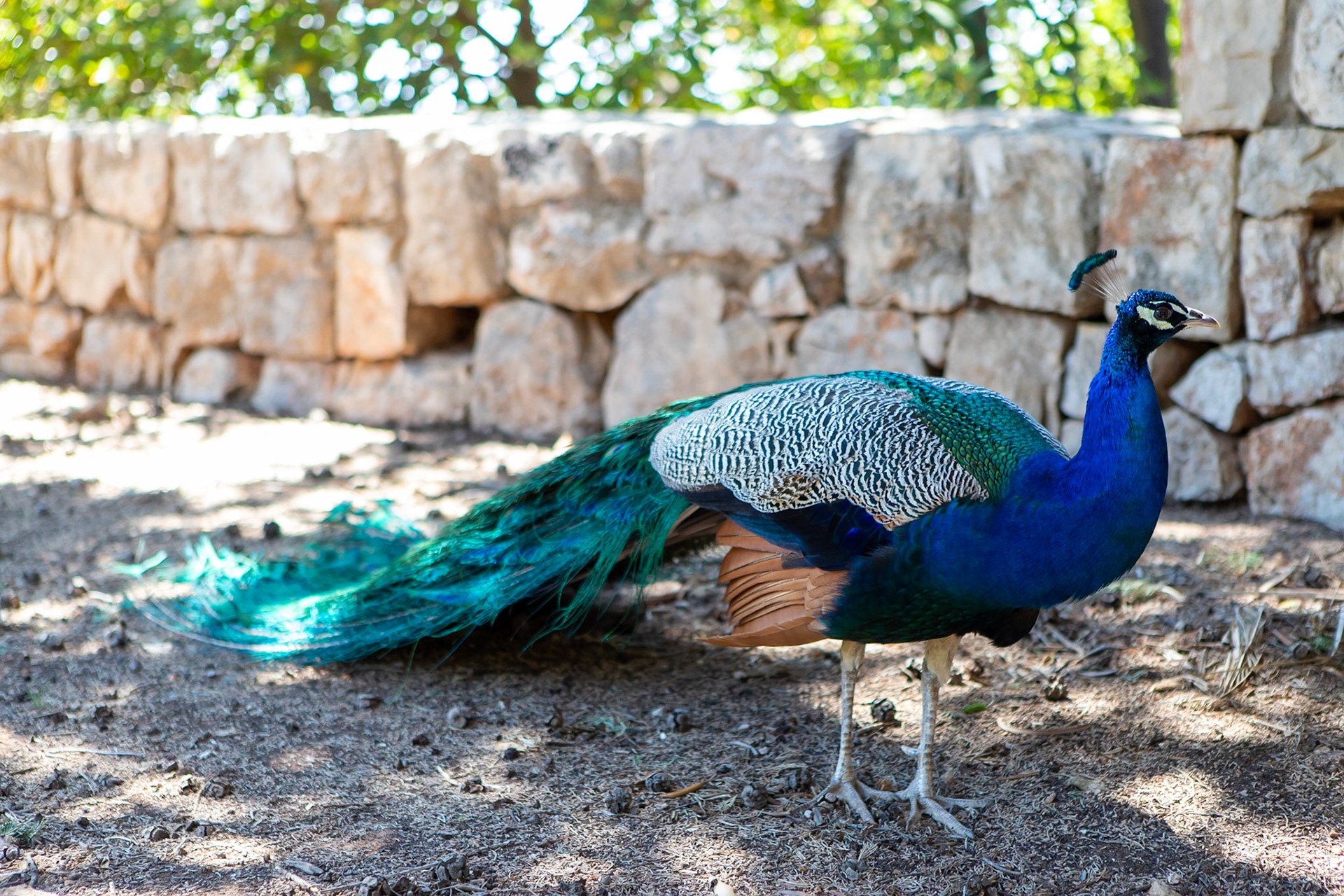 © 2022 Billy Hodgkins Photography All rights reserved.