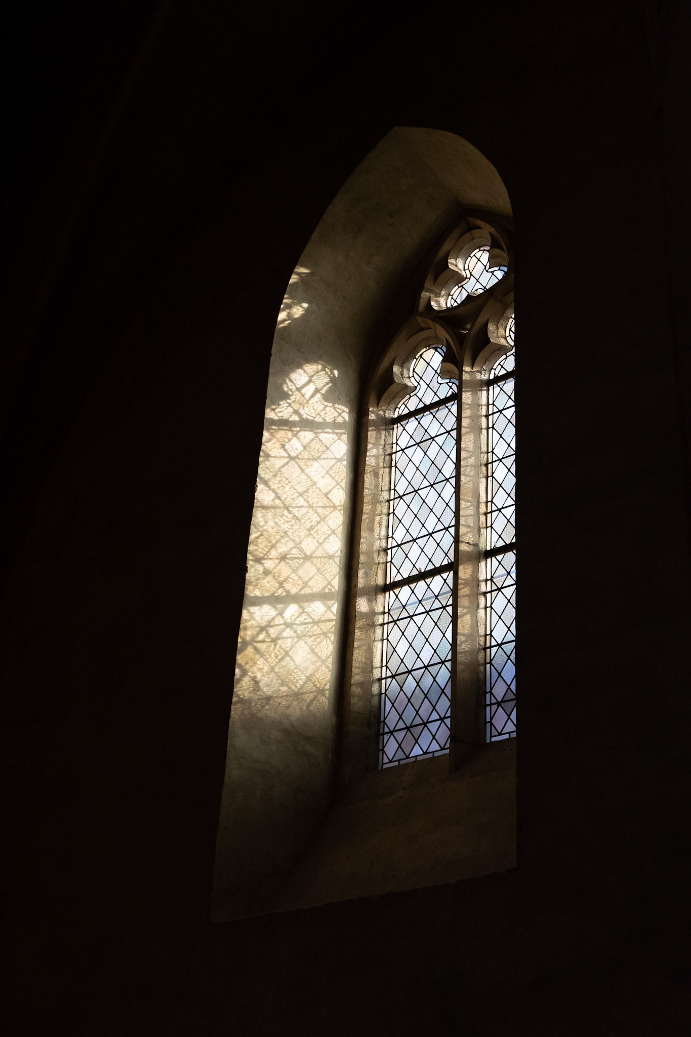 © 2023 Billy Hodgkins Photography All rights reserved.