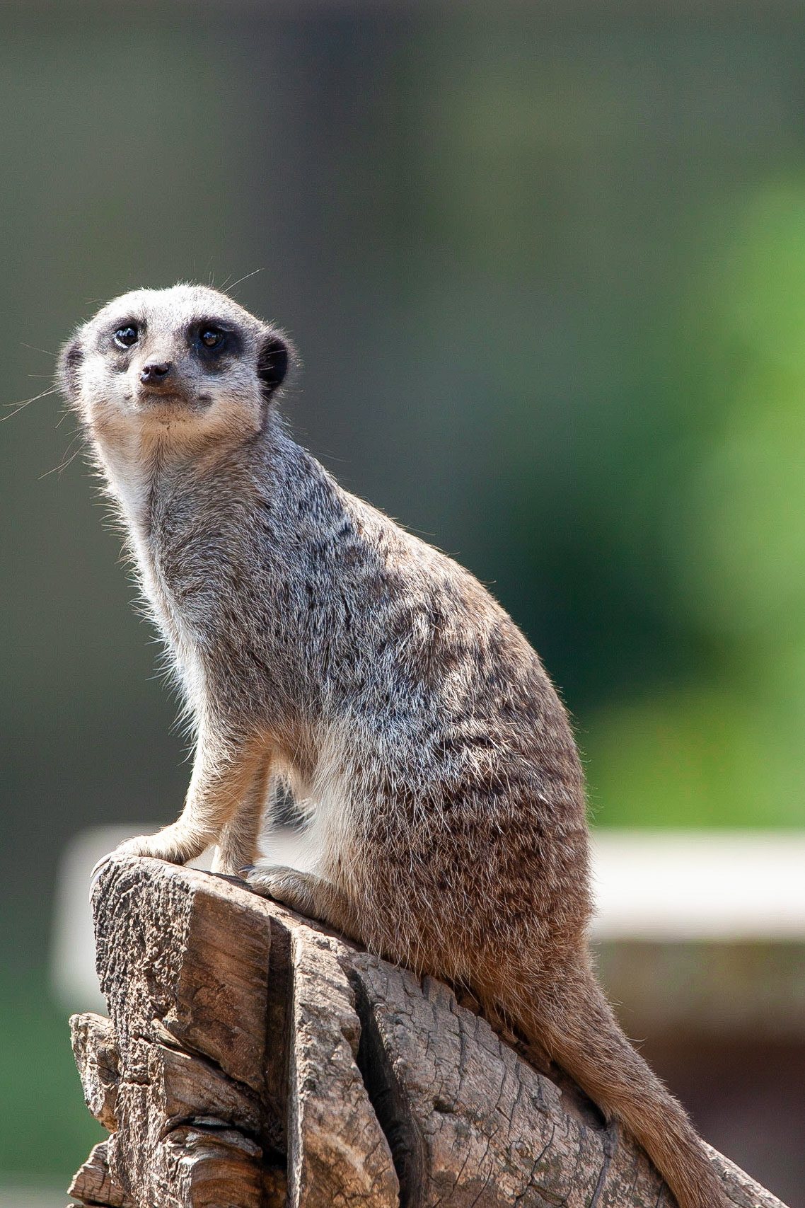 © 2020 Billy Hodgkins Photography All rights reserved.