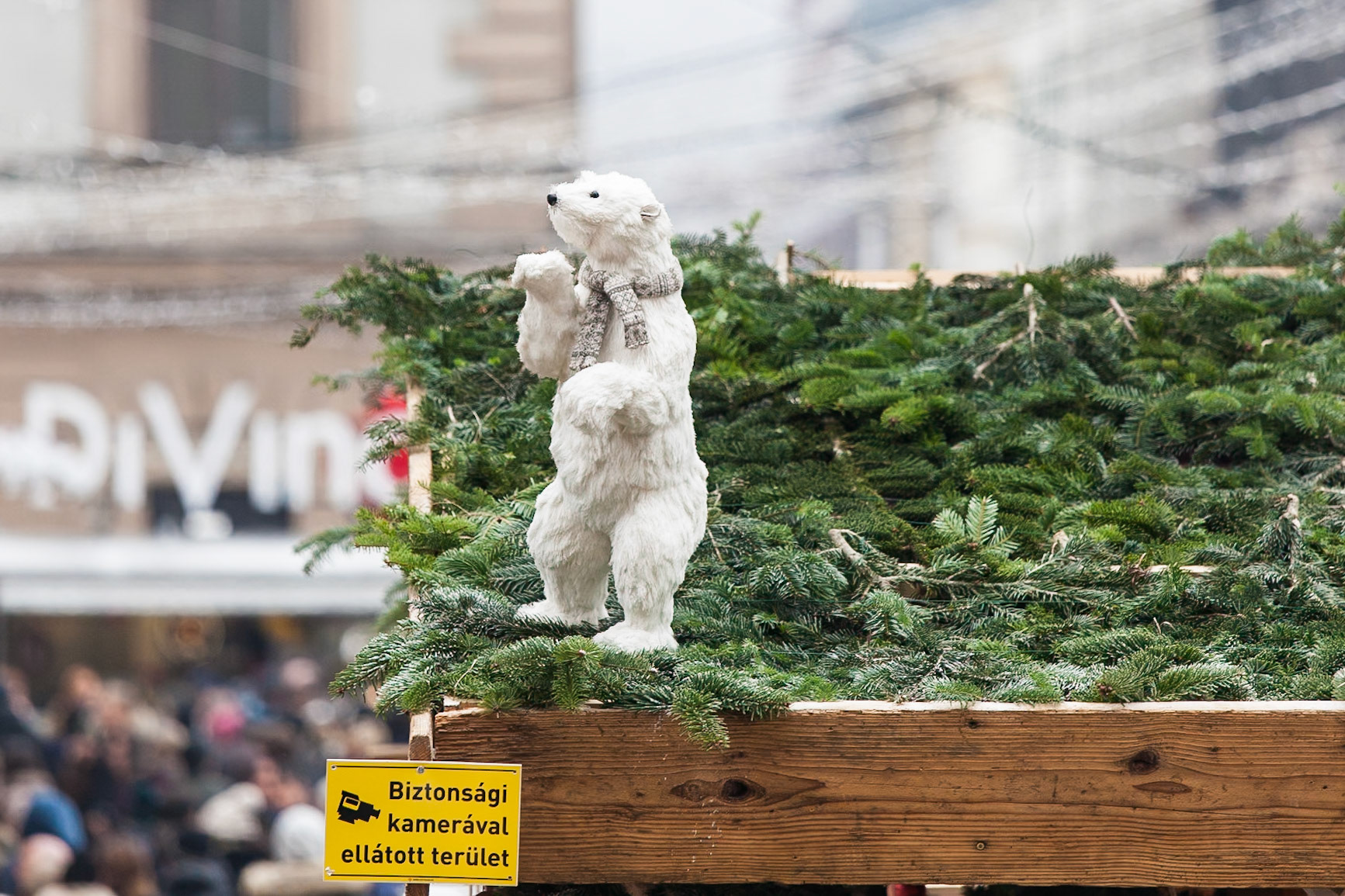 © 2017 Billy Hodgkins Photography All rights reserved.