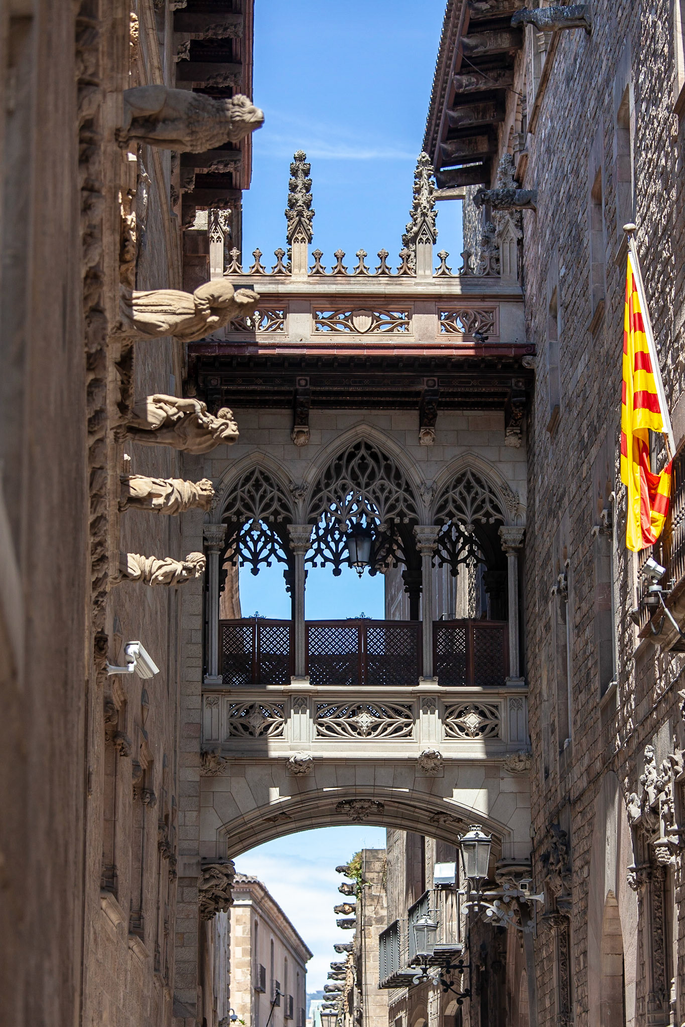 © 2018 Billy Hodgkins Photography All rights reserved.