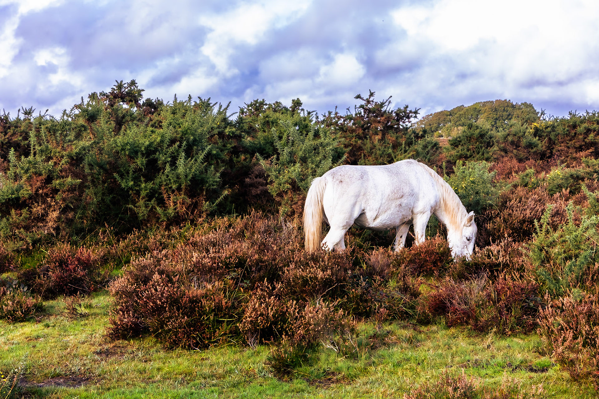 © 2023 Billy Hodgkins Photography All rights reserved.