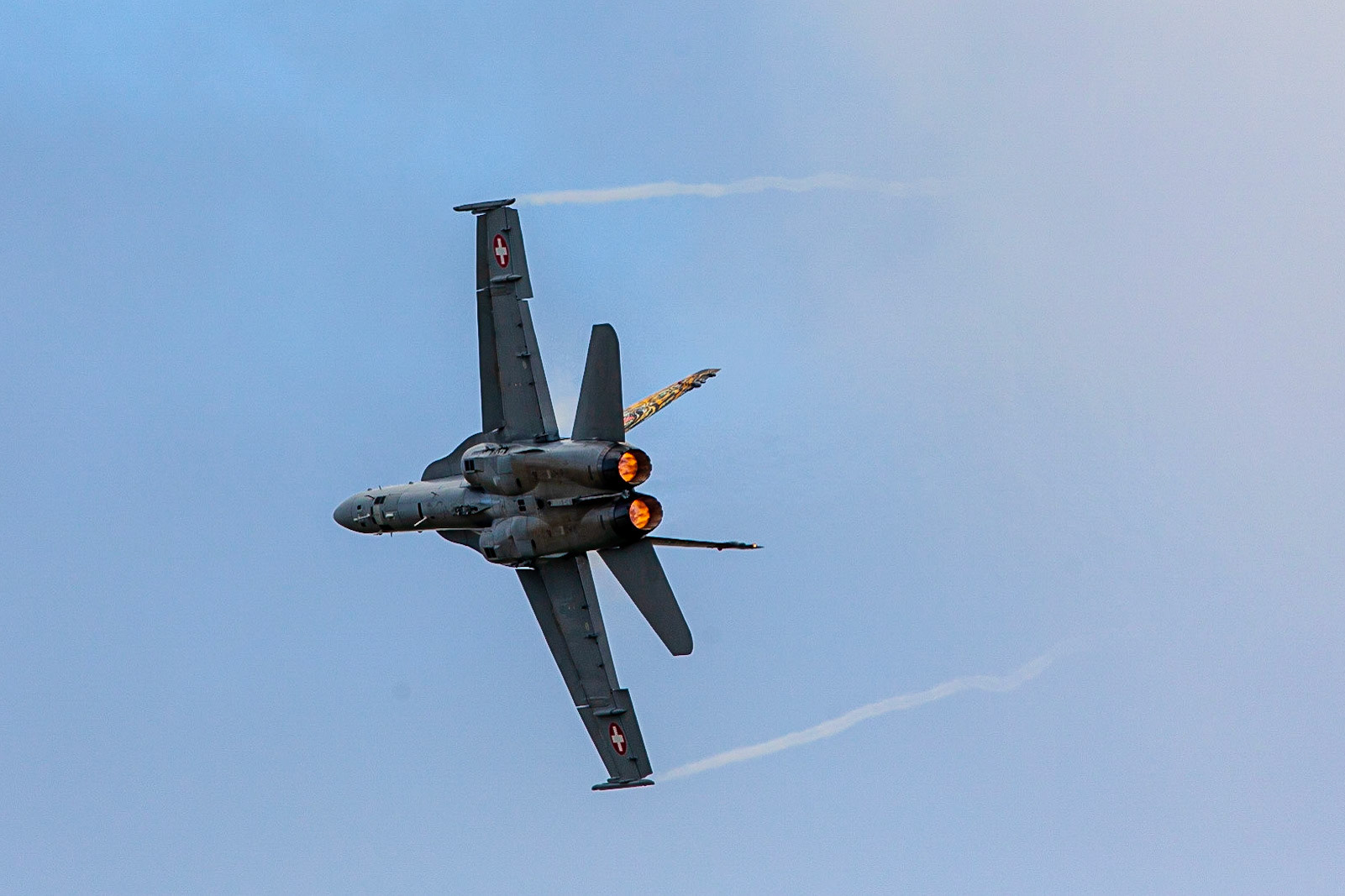 © 2019 Billy Hodgkins Photography All rights reserved.