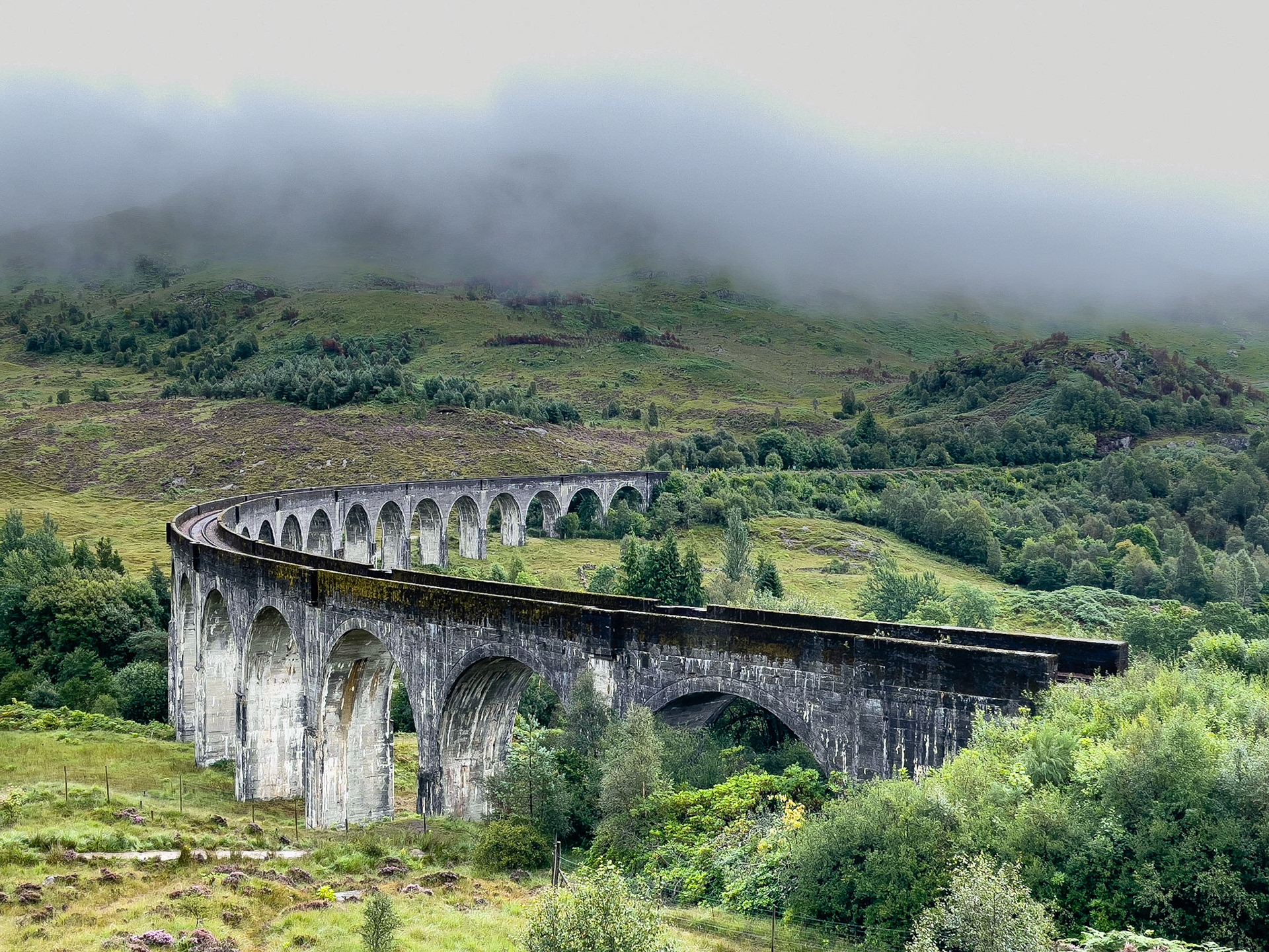 © 2021 Billy Hodgkins Photography All rights reserved.