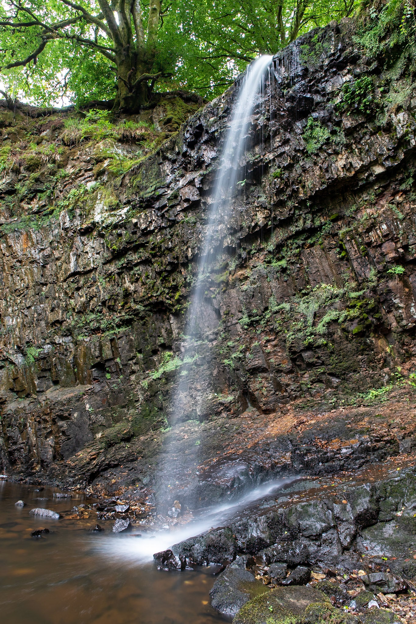 © 2021 Billy Hodgkins Photography All rights reserved.