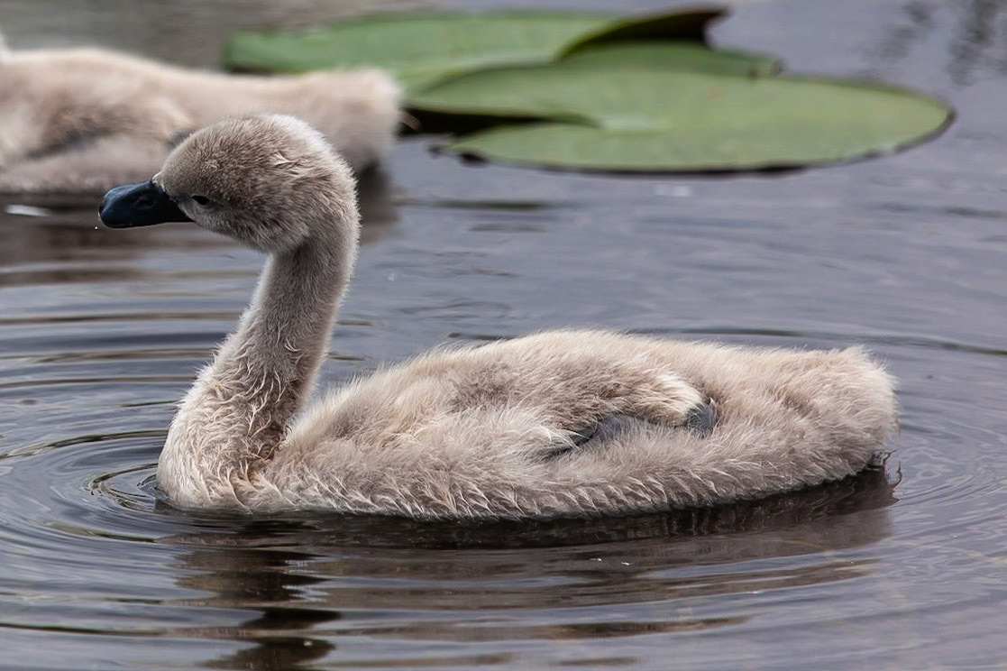 © 2020 Billy Hodgkins Photography All rights reserved.