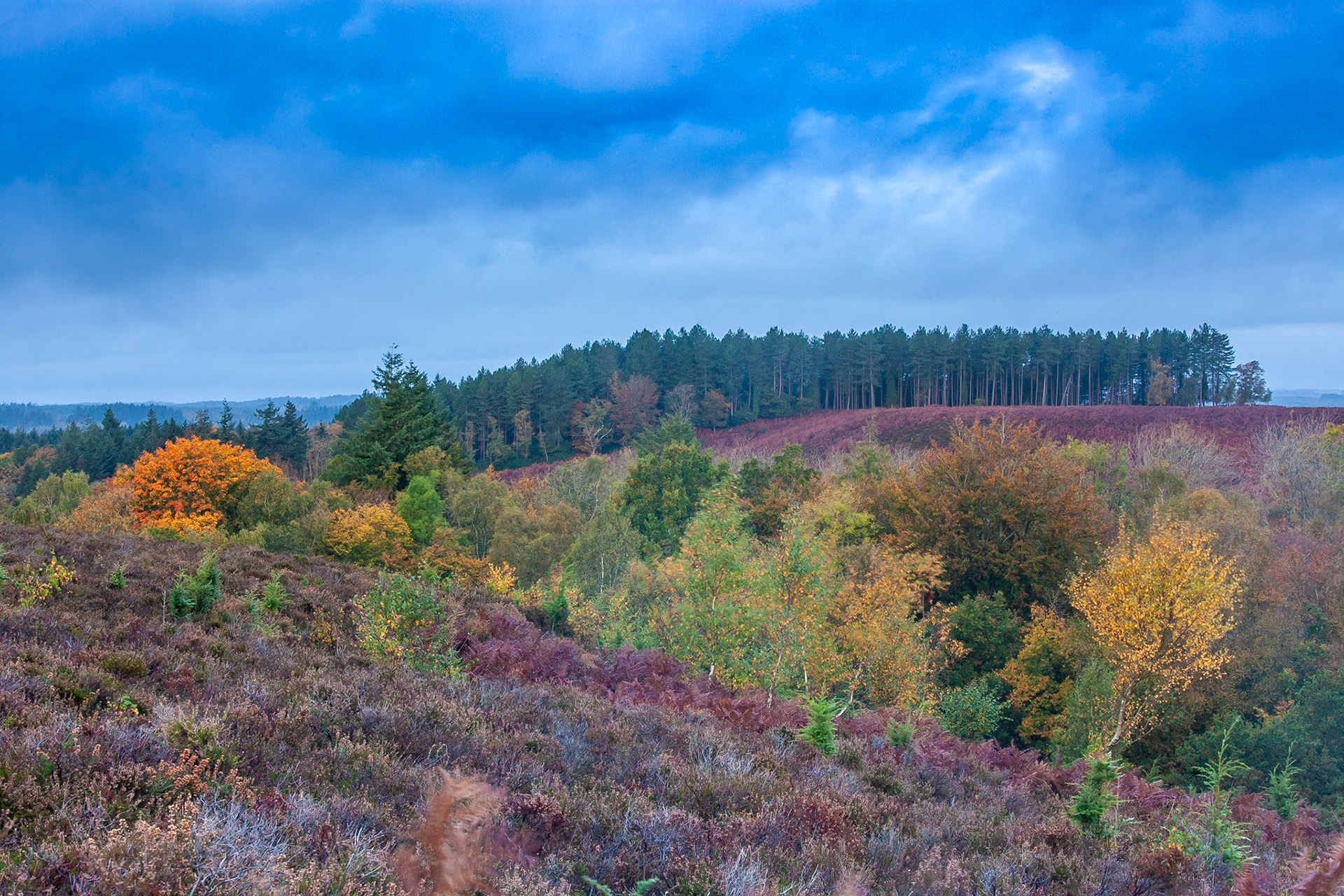 © 2020 Billy Hodgkins Photography All rights reserved.