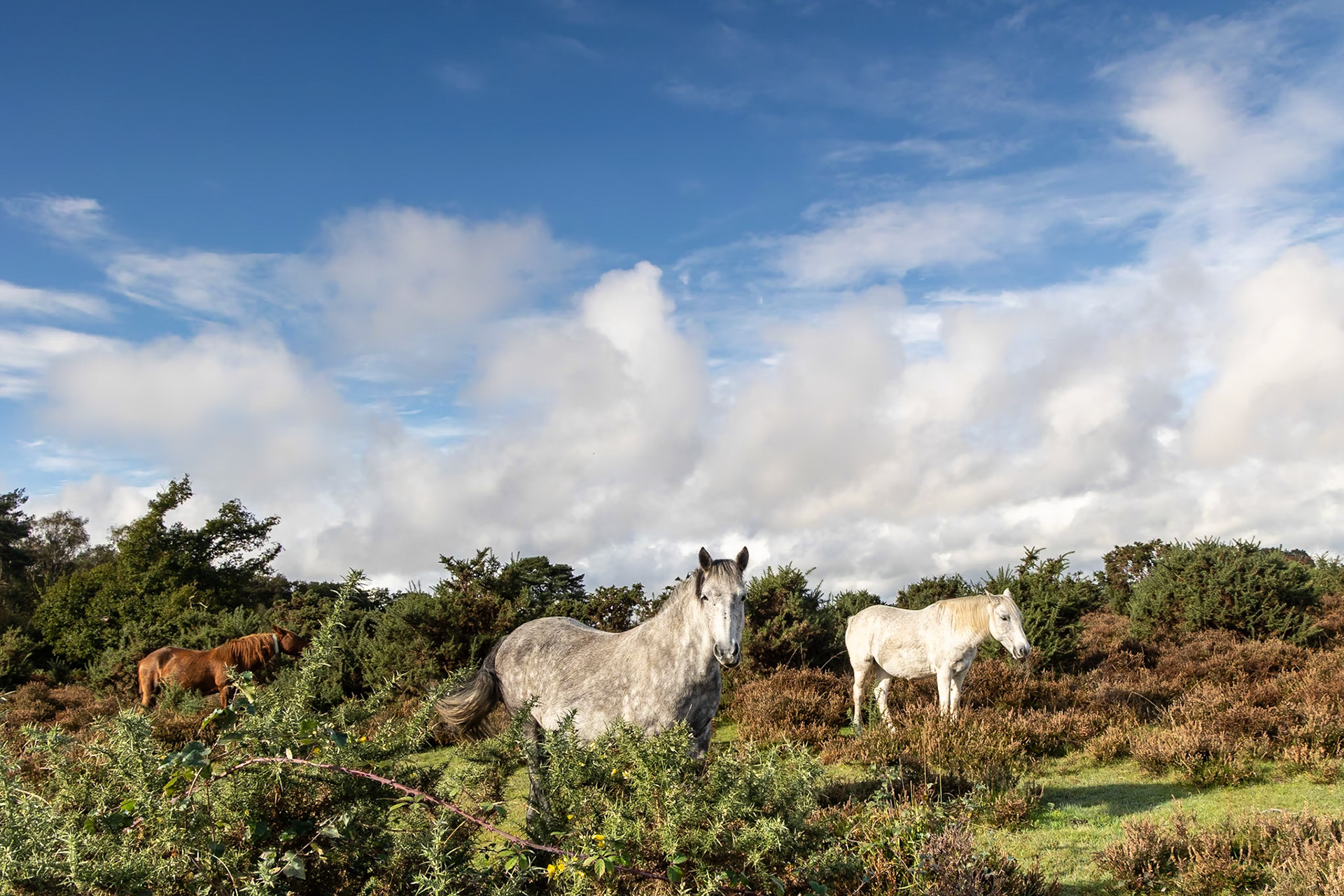 © 2023 Billy Hodgkins Photography All rights reserved.