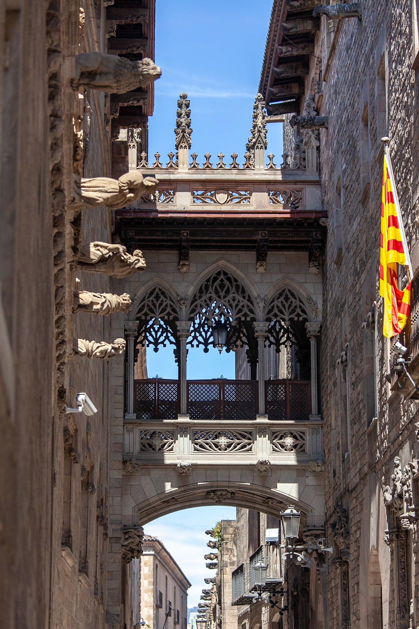 © 2018 Billy Hodgkins Photography All rights reserved.