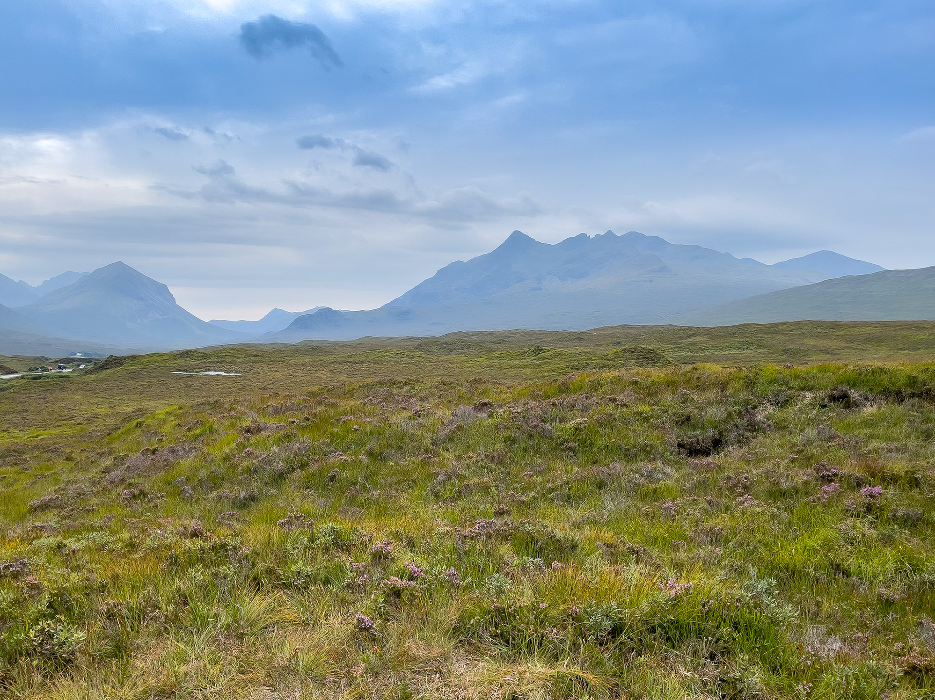 © 2021 Billy Hodgkins Photography All rights reserved.