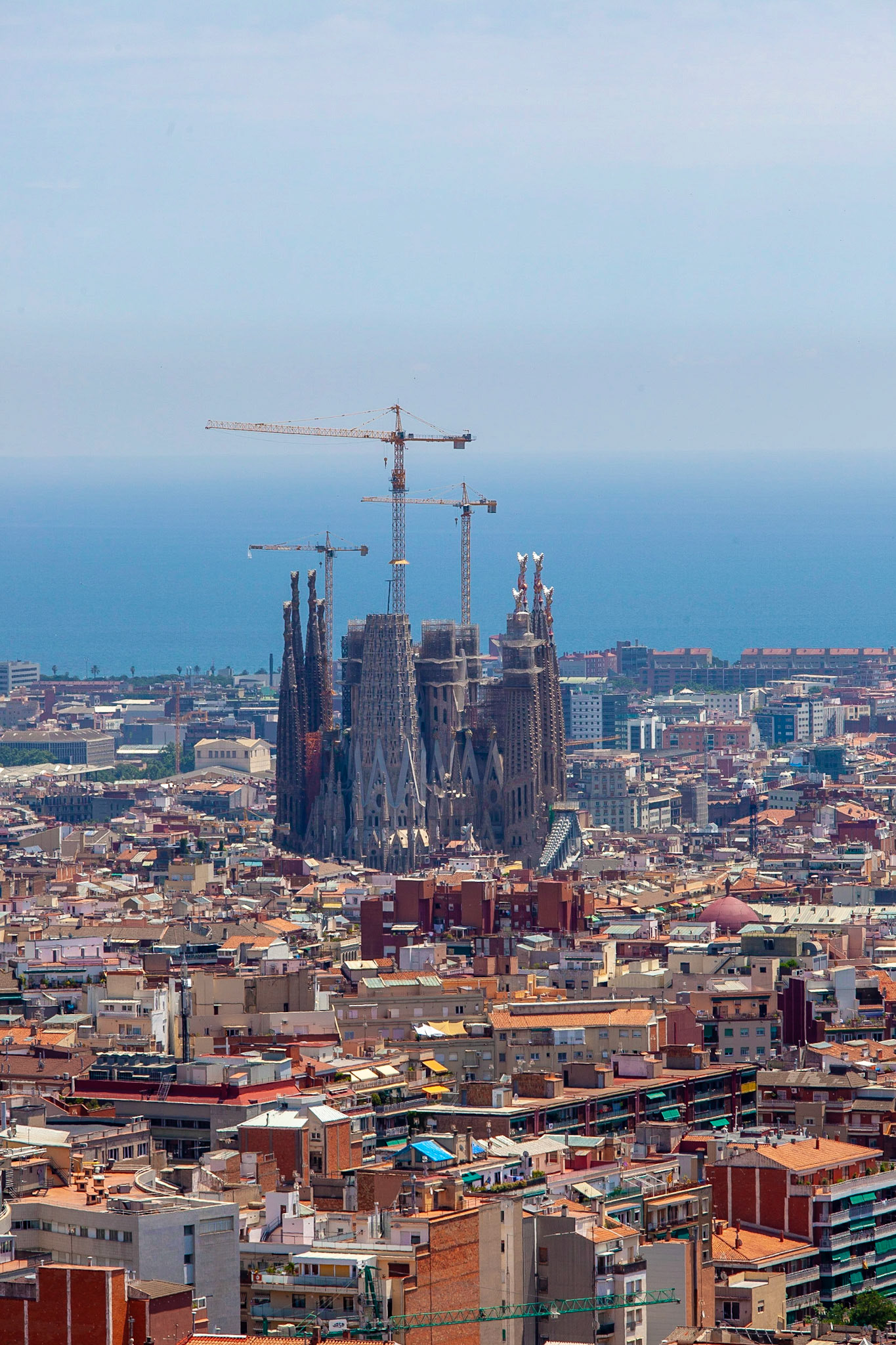 © 2018 Billy Hodgkins Photography All rights reserved.