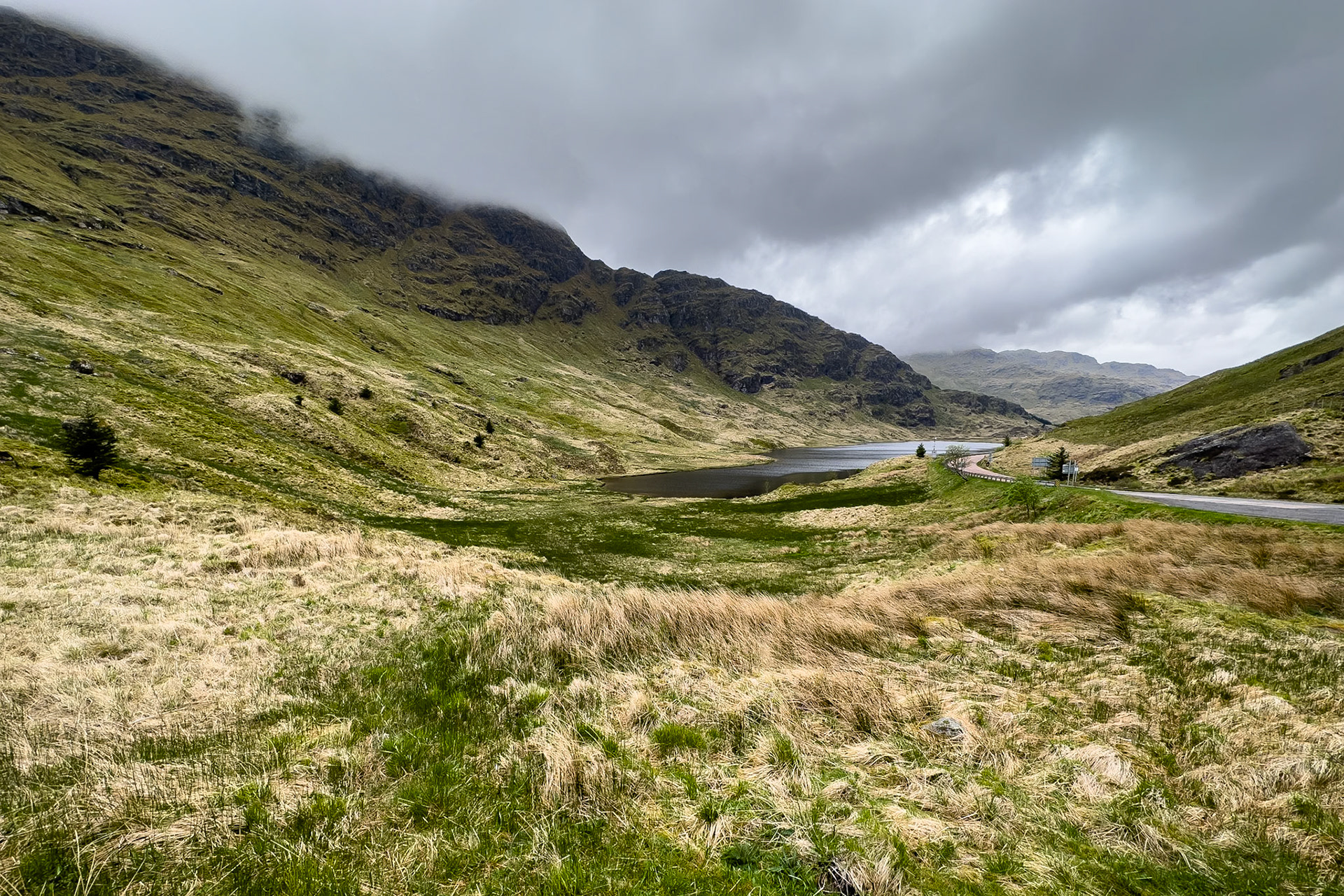 © 2023 Billy Hodgkins Photography All rights reserved.