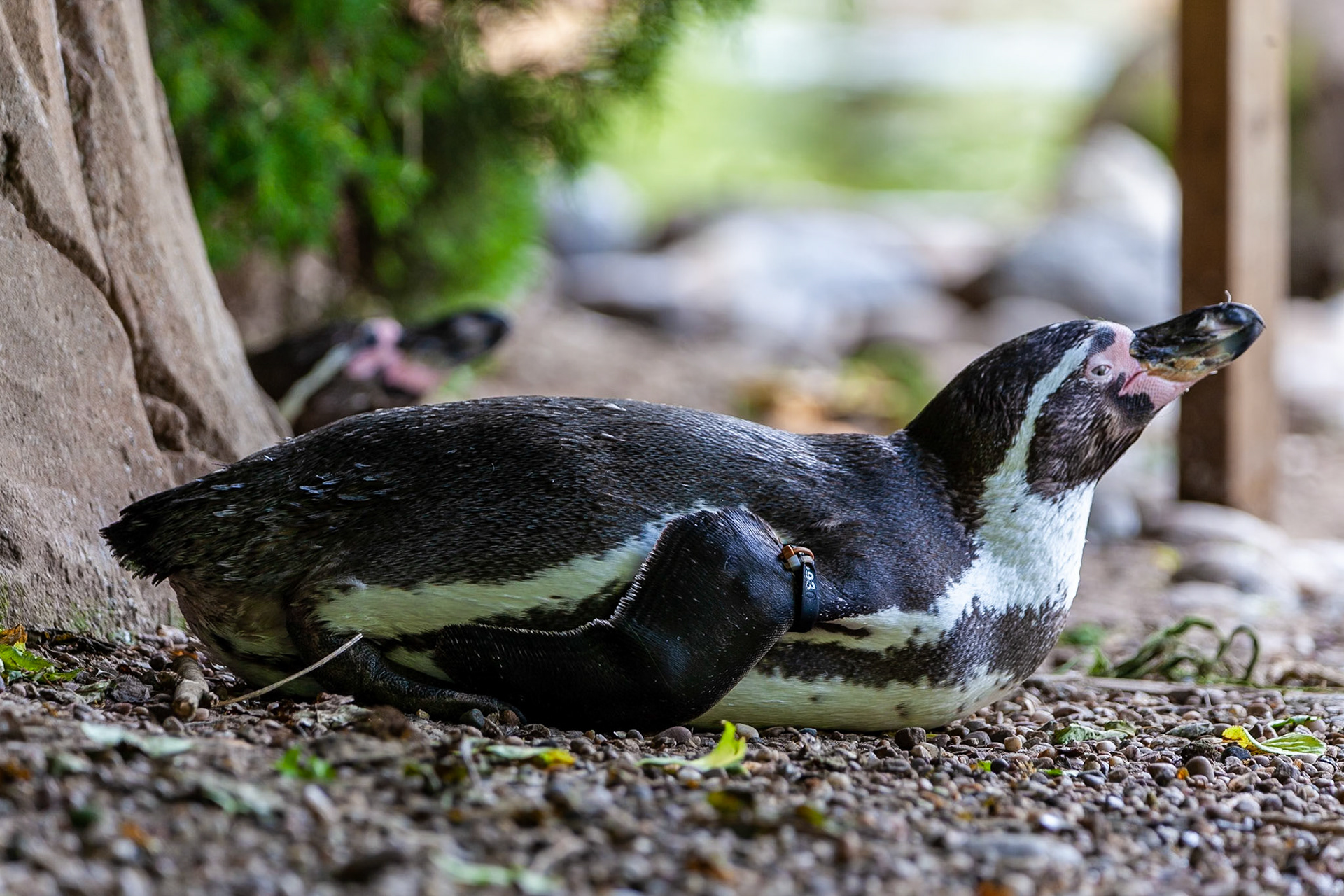 © 2020 Billy Hodgkins Photography All rights reserved.