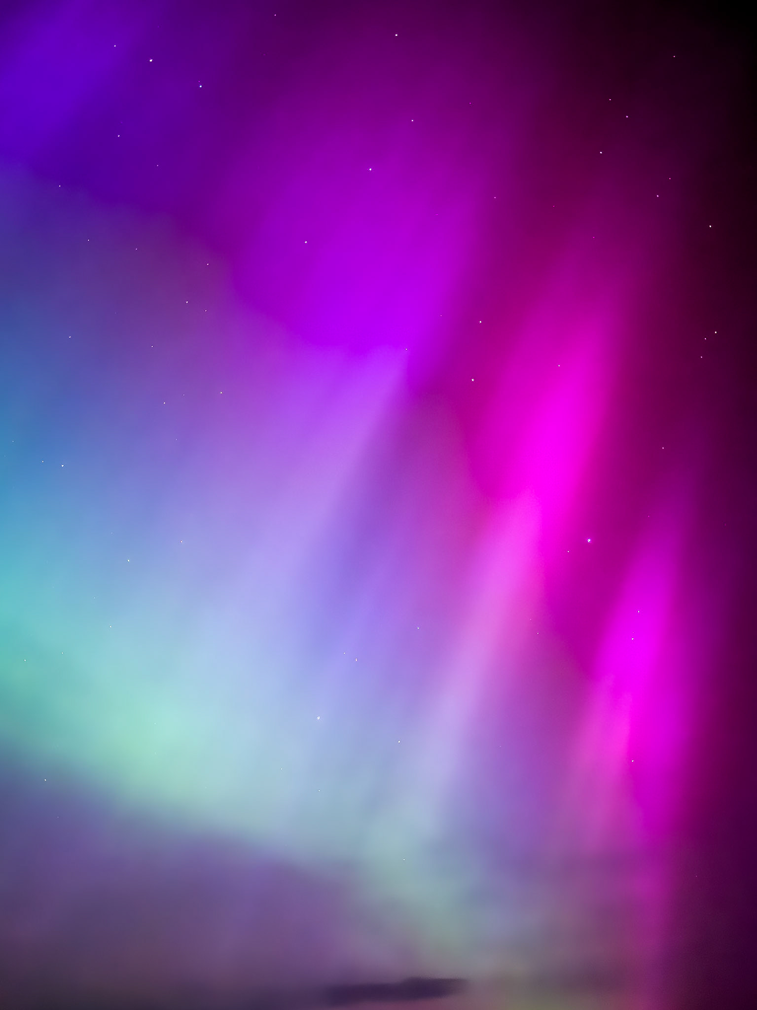 © 2024 Billy Hodgkins Photography All rights reserved.