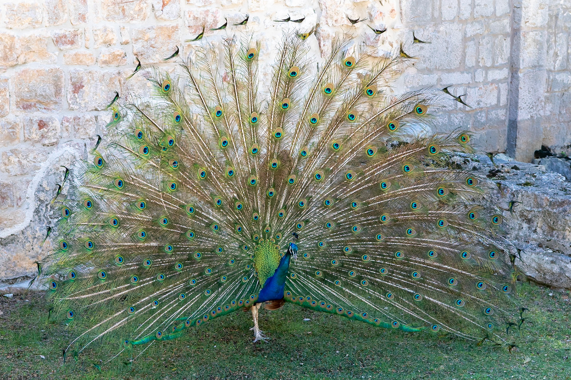 © 2022 Billy Hodgkins Photography All rights reserved.