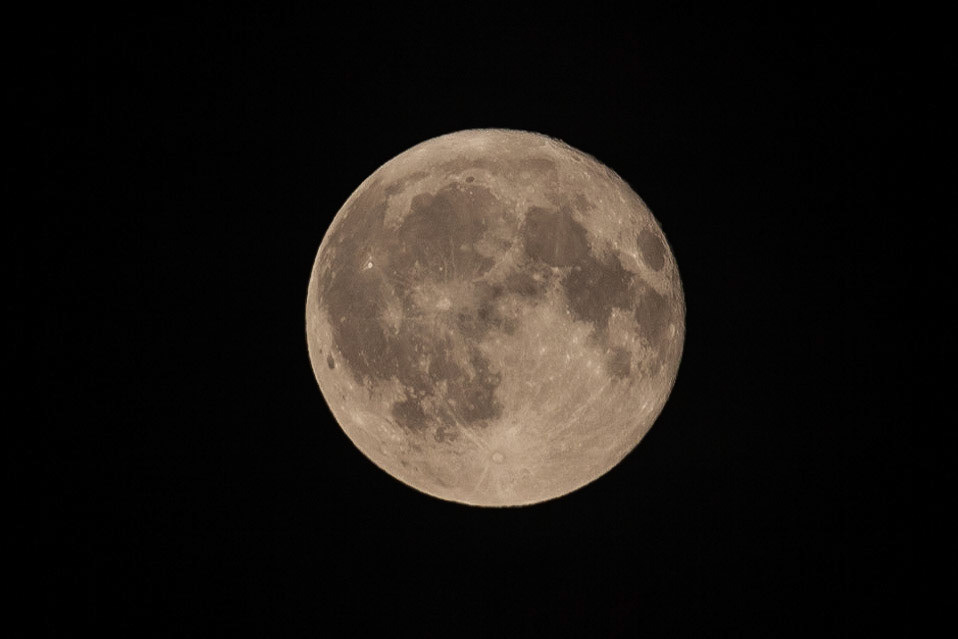 © 2017 Billy Hodgkins Photography All rights reserved.