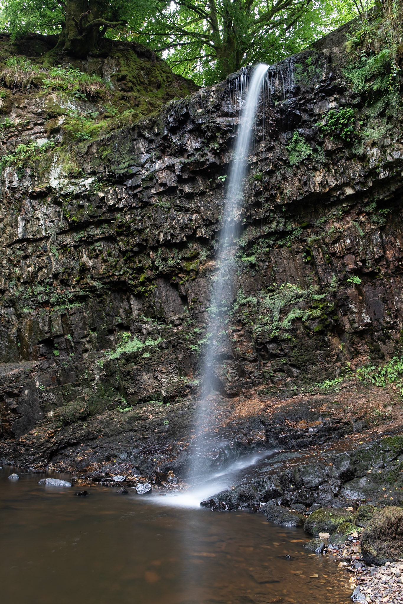 © 2021 Billy Hodgkins Photography All rights reserved.