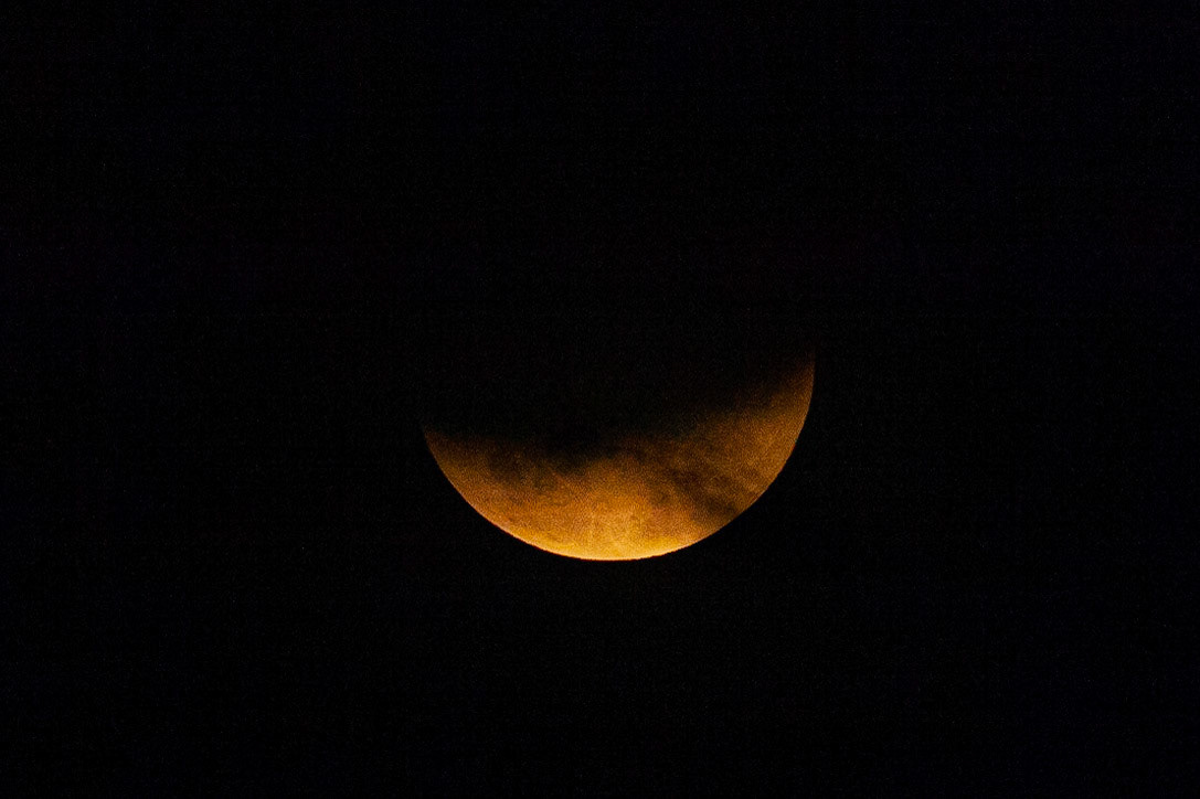 © 2019 Billy Hodgkins Photography All rights reserved.