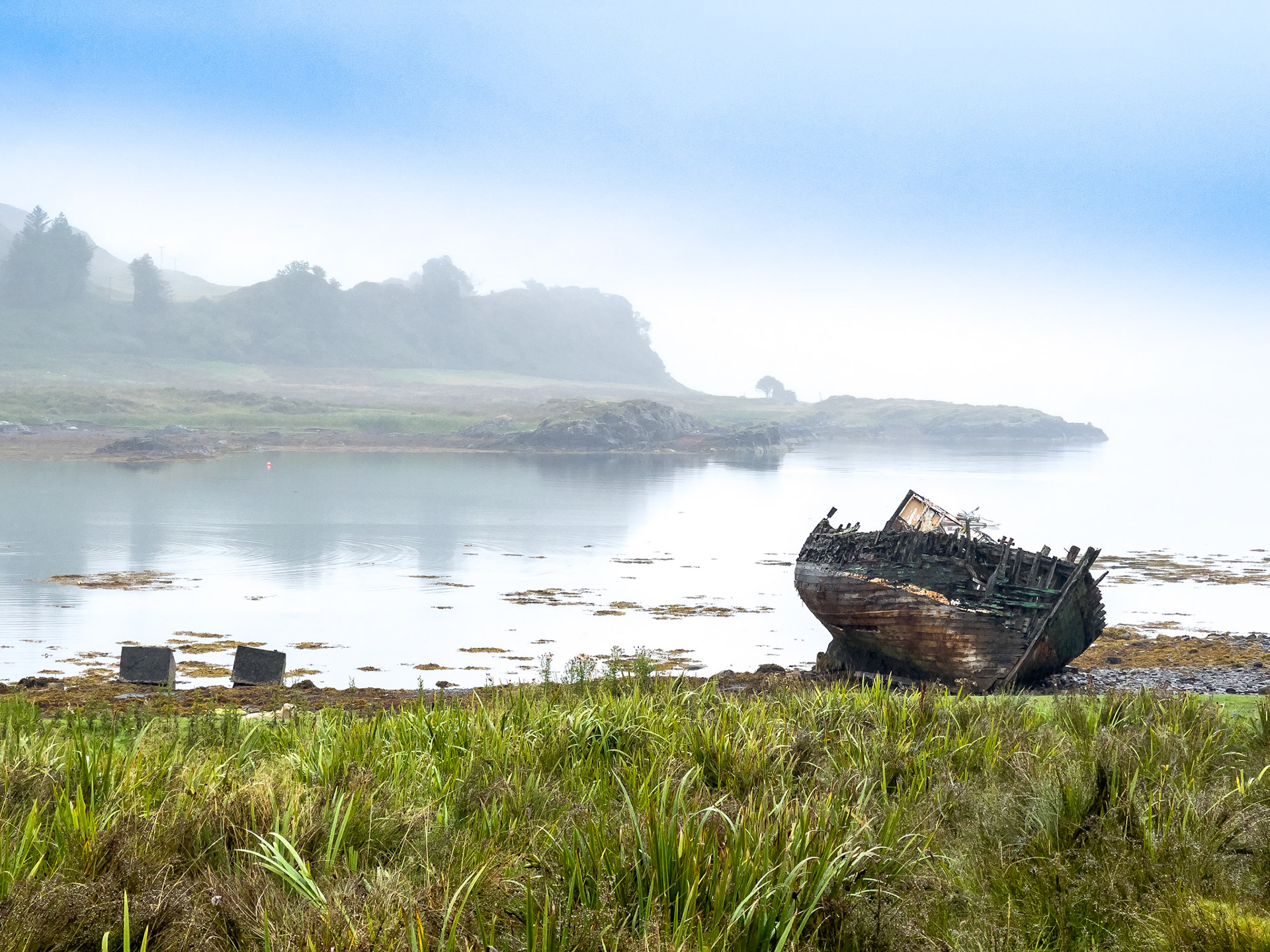 © 2021 Billy Hodgkins Photography All rights reserved.