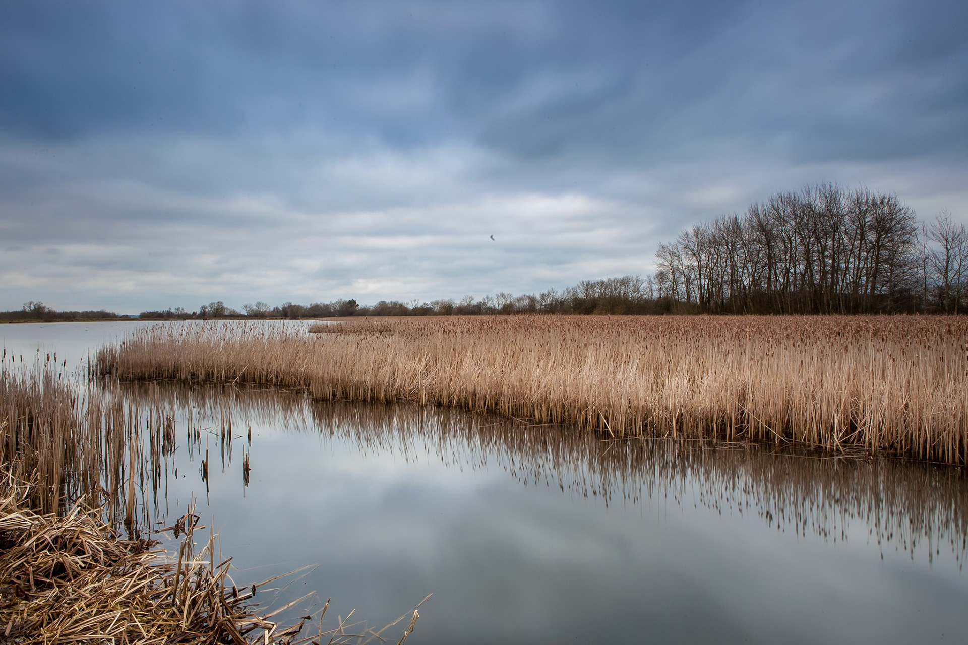 © 2018 Billy Hodgkins Photography All rights reserved.