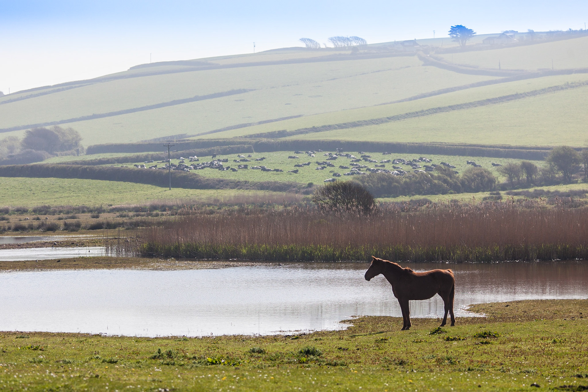 © 2017 Billy Hodgkins Photography All rights reserved.