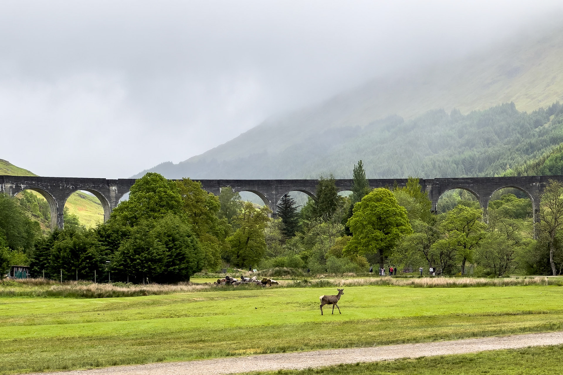 © 2023 Billy Hodgkins Photography All rights reserved.