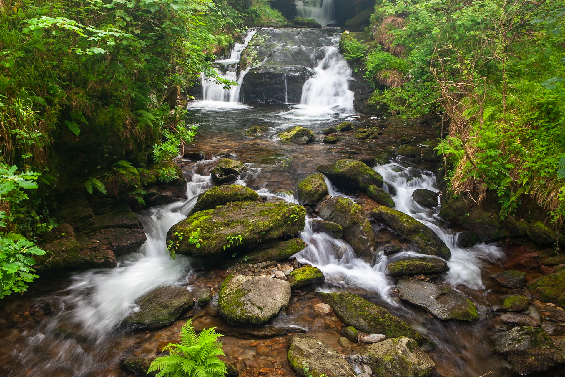 © 2020 Billy Hodgkins Photography All rights reserved.