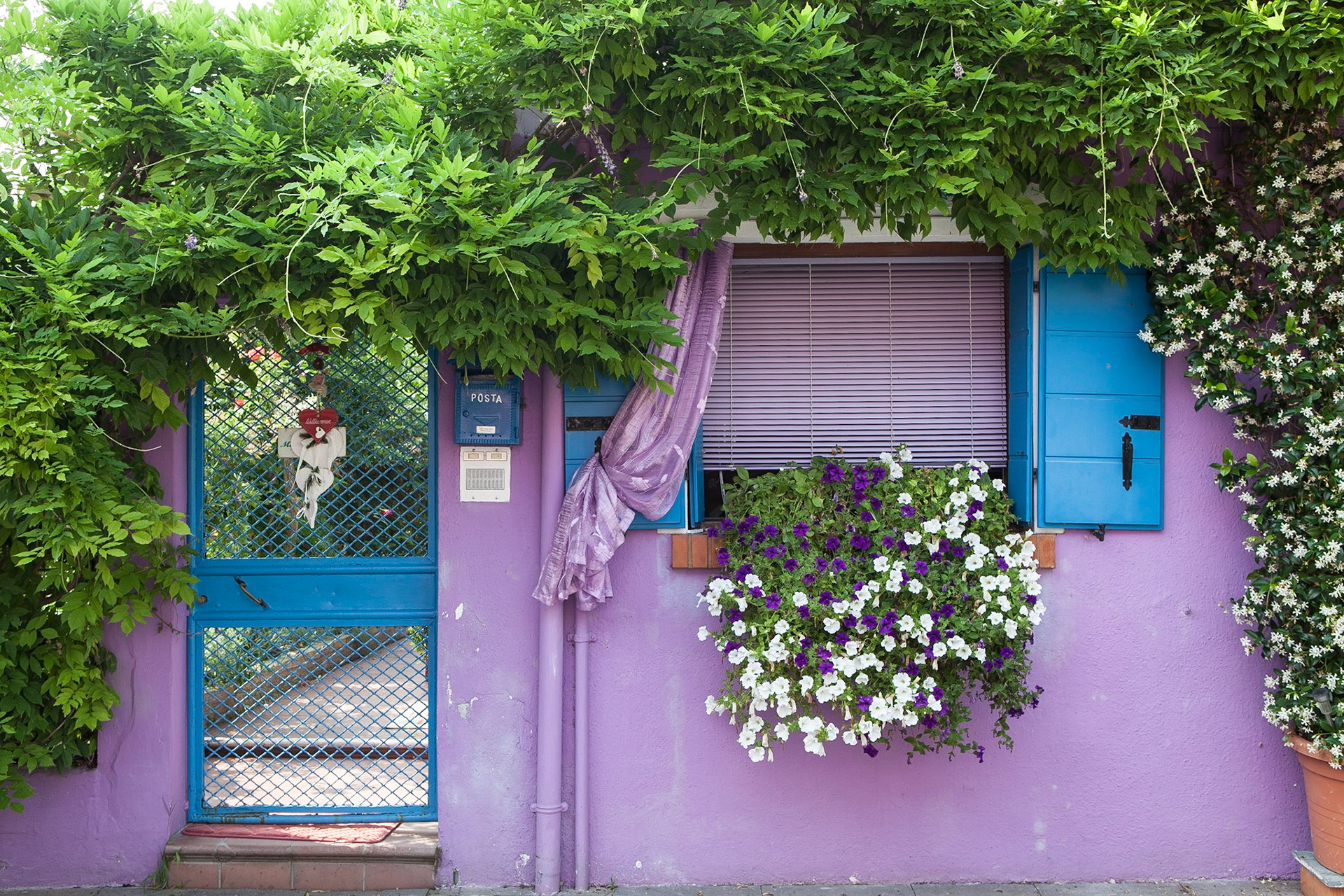 © 2017 Billy Hodgkins Photography All rights reserved.