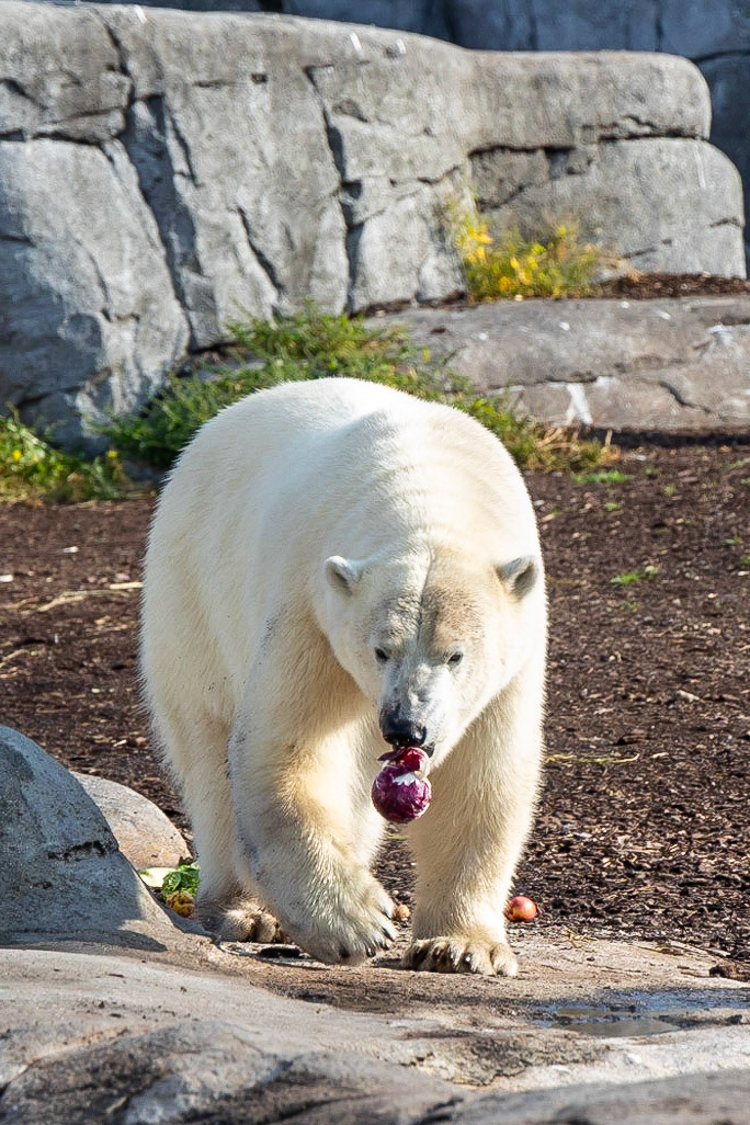 © 2023 Billy Hodgkins Photography All rights reserved.