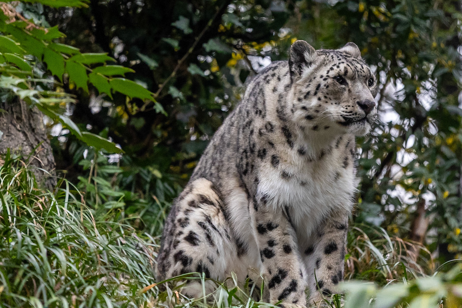 © 2024 Billy Hodgkins Photography All rights reserved.