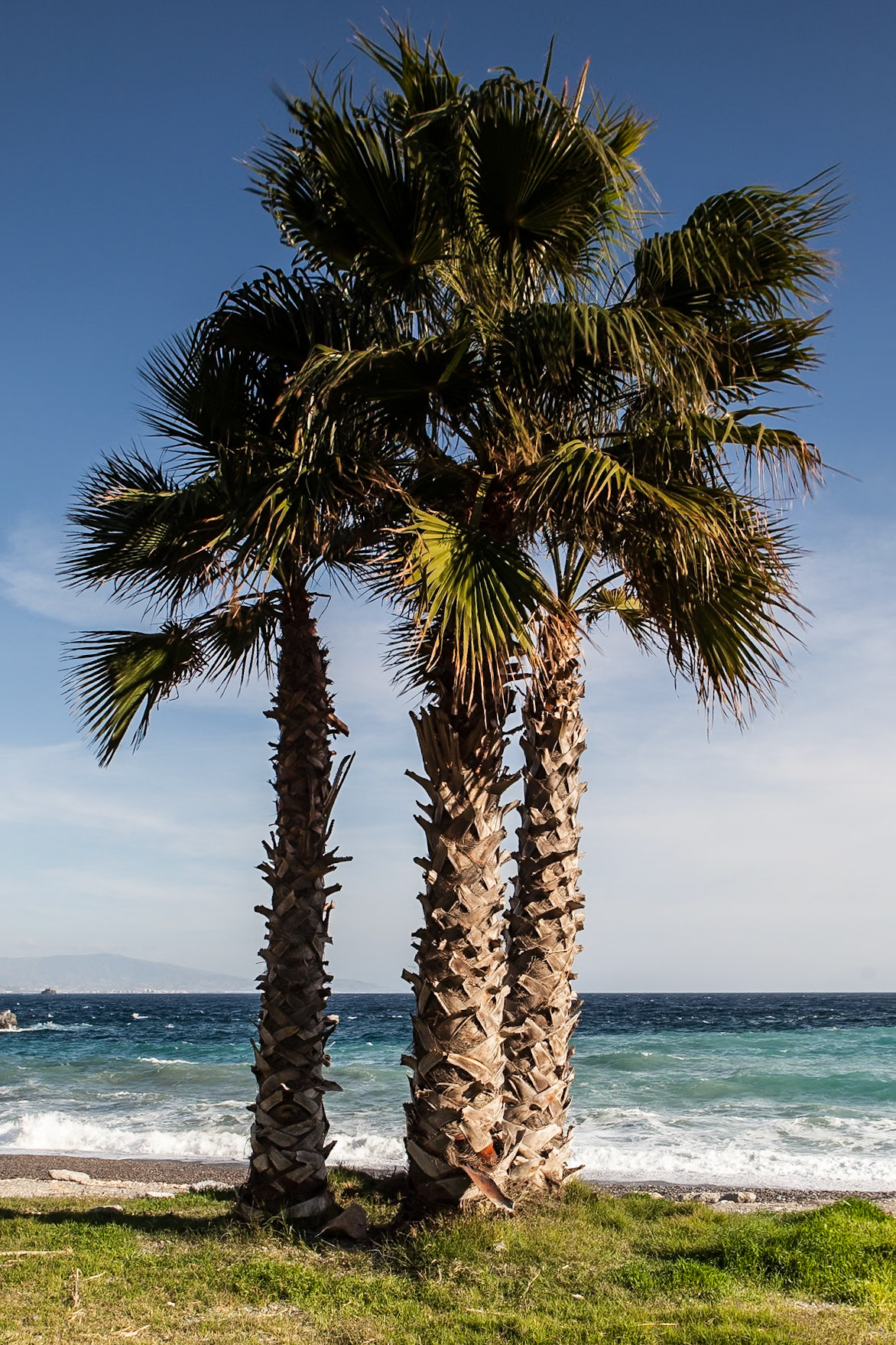 © 2015 Billy Hodgkins Photography All rights reserved.