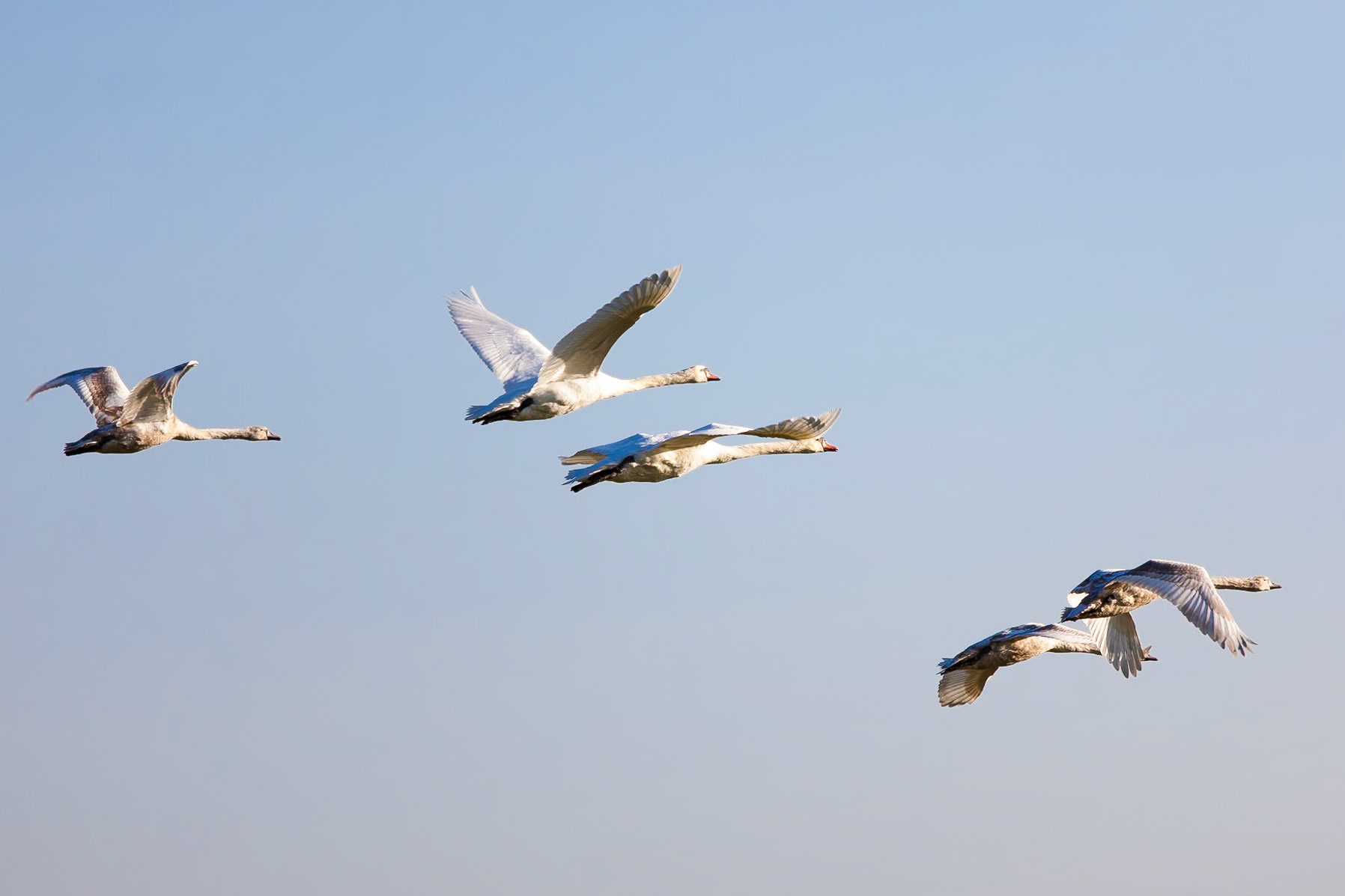 © 2015 Billy Hodgkins Photography All rights reserved.