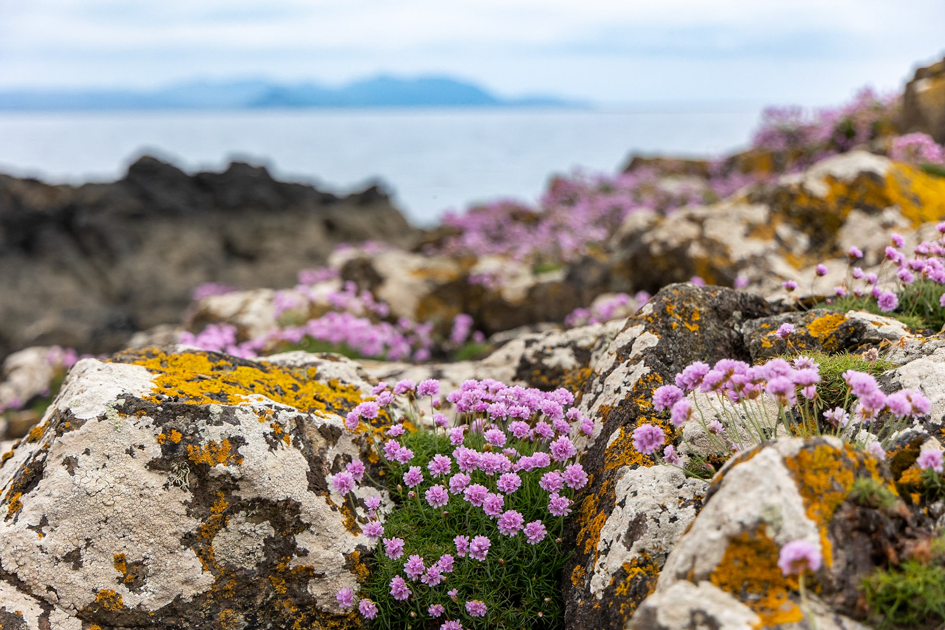 © 2023 Billy Hodgkins Photography All rights reserved.