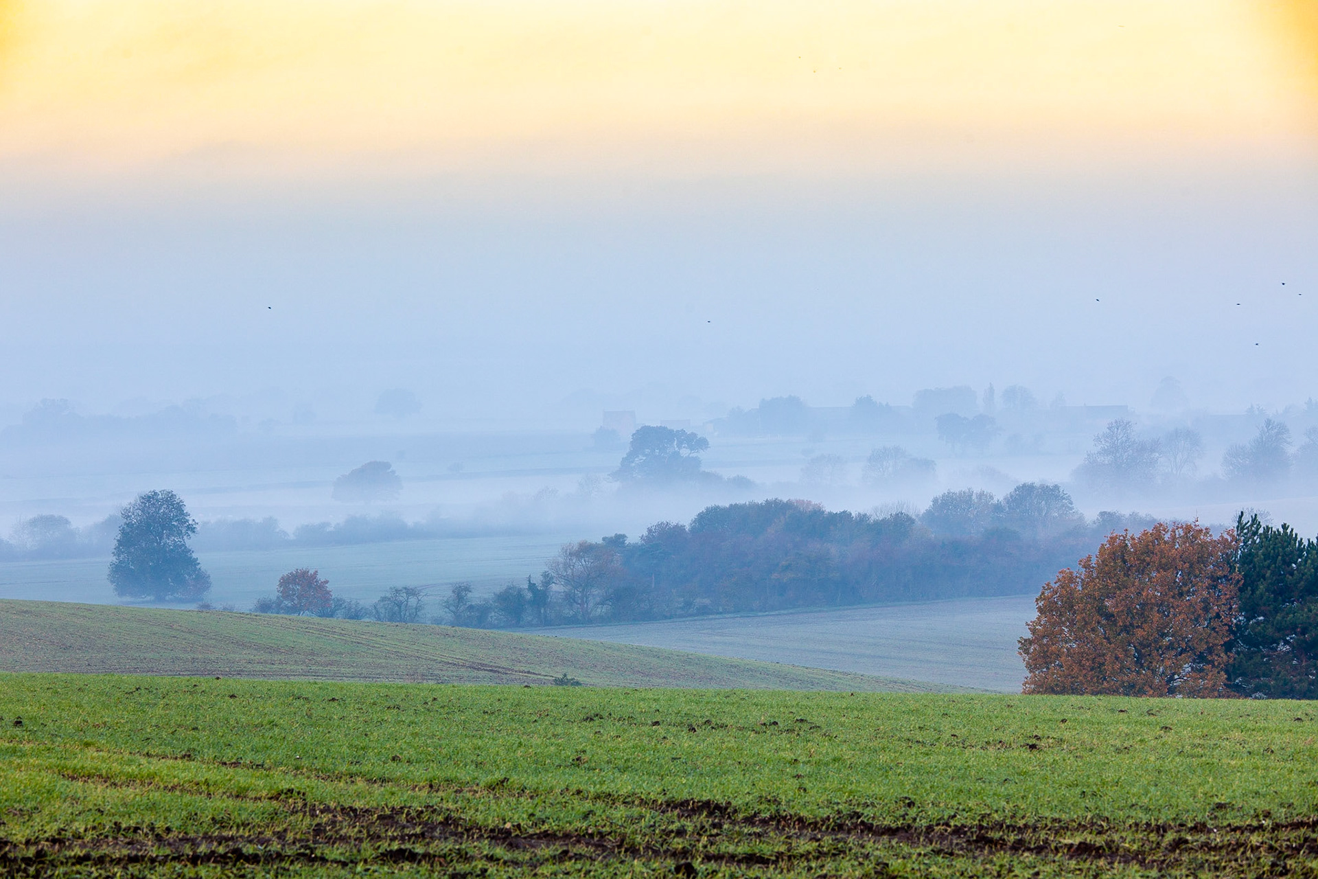 © 2020 Billy Hodgkins Photography All rights reserved.