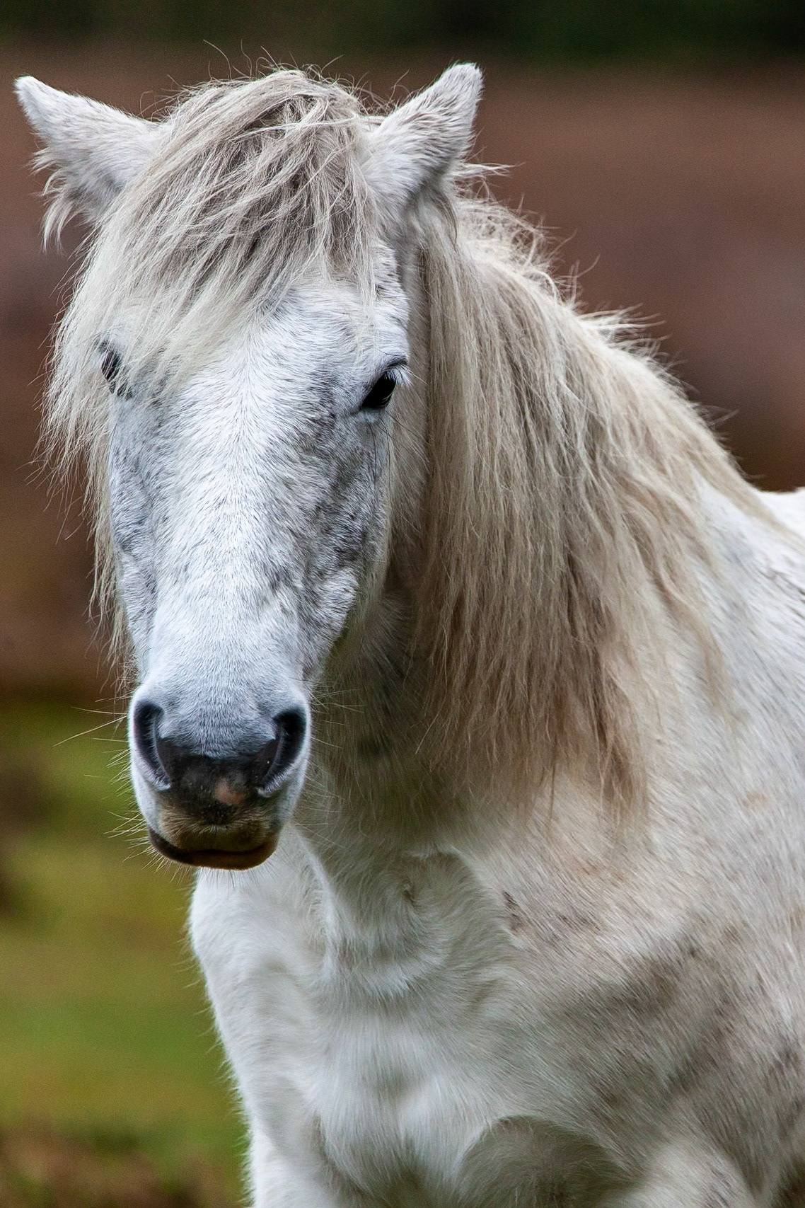 © 2020 Billy Hodgkins Photography All rights reserved.