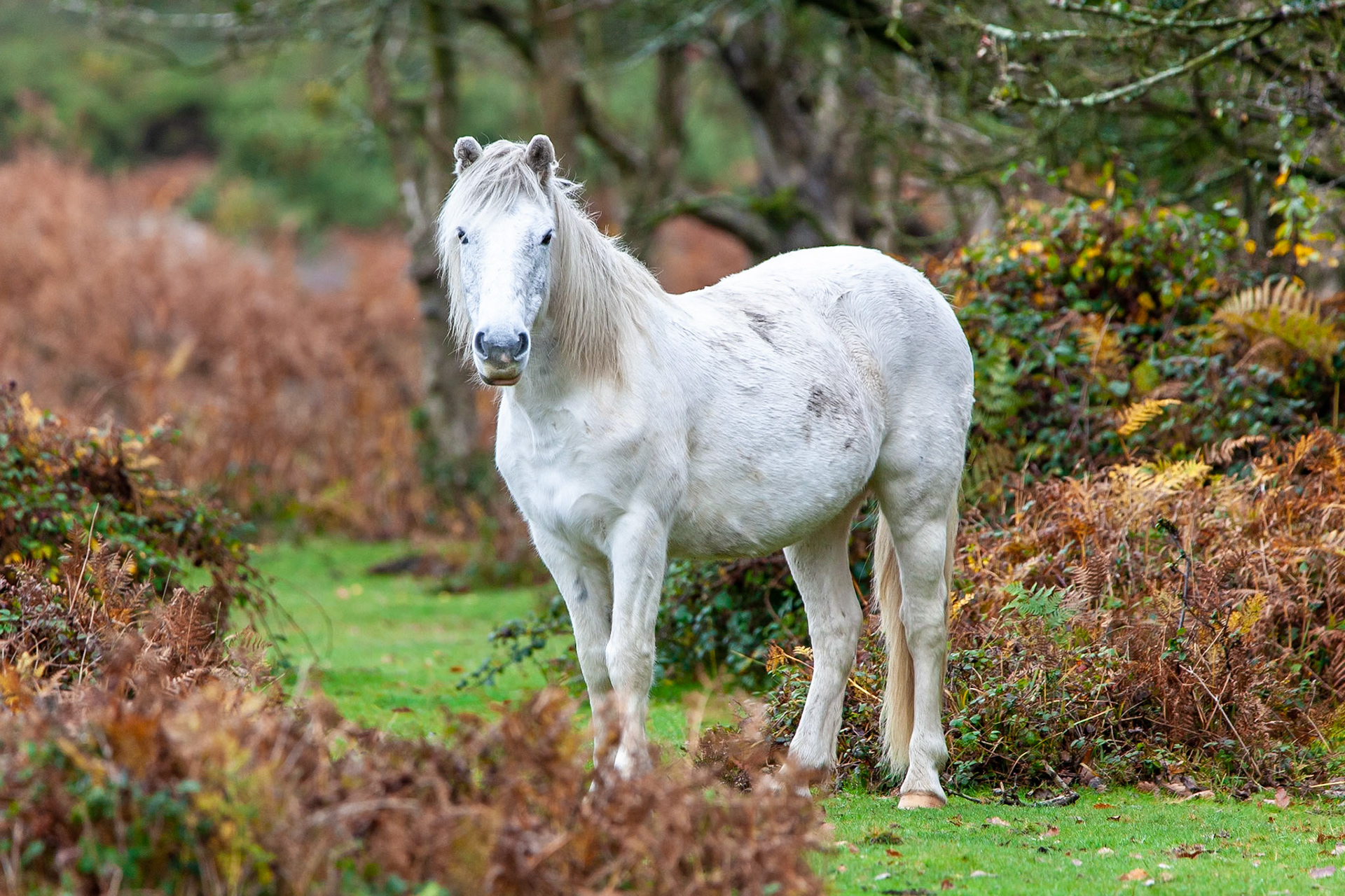 © 2020 Billy Hodgkins Photography All rights reserved.